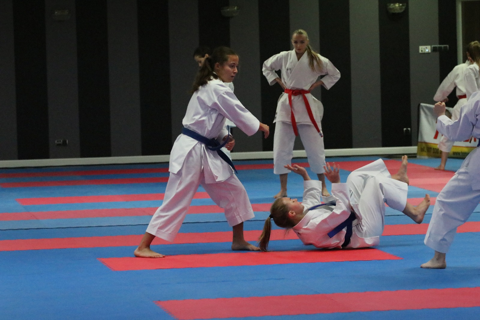 XXXXI Mistrzostwa Polski Seniorów w Karate Olimpijskim
