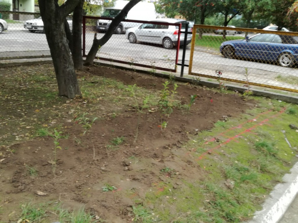 LB0: Trwa realizacja inwestycji. Zobacz jak postępują prace