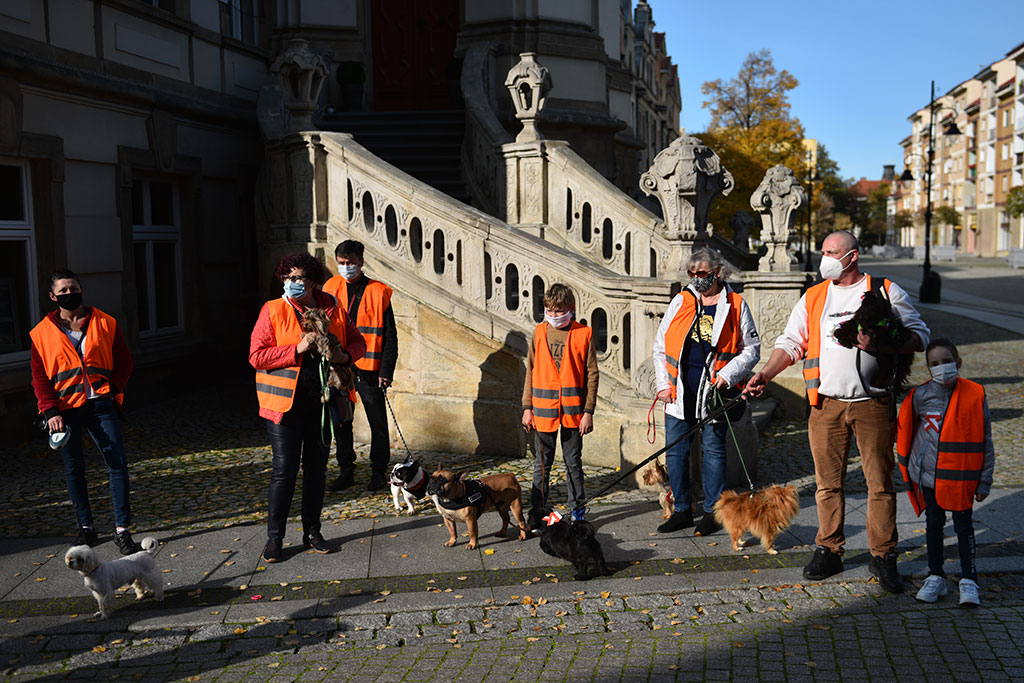 Hodowcy psów protestowali przeciwko Piątce dla zwierząt
