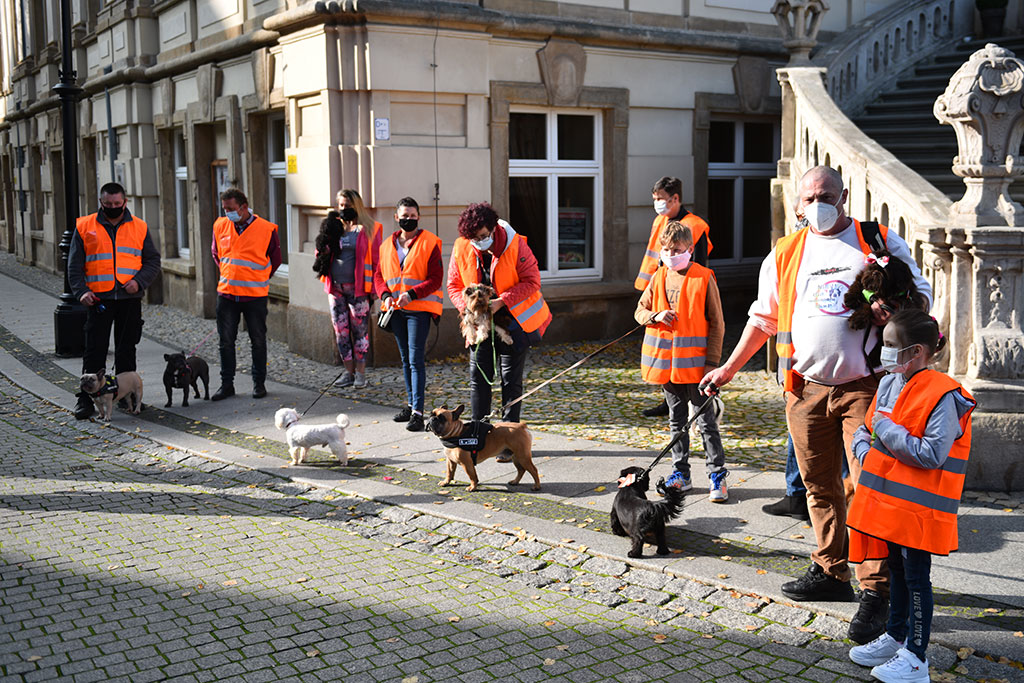 Hodowcy psów protestowali przeciwko Piątce dla zwierząt