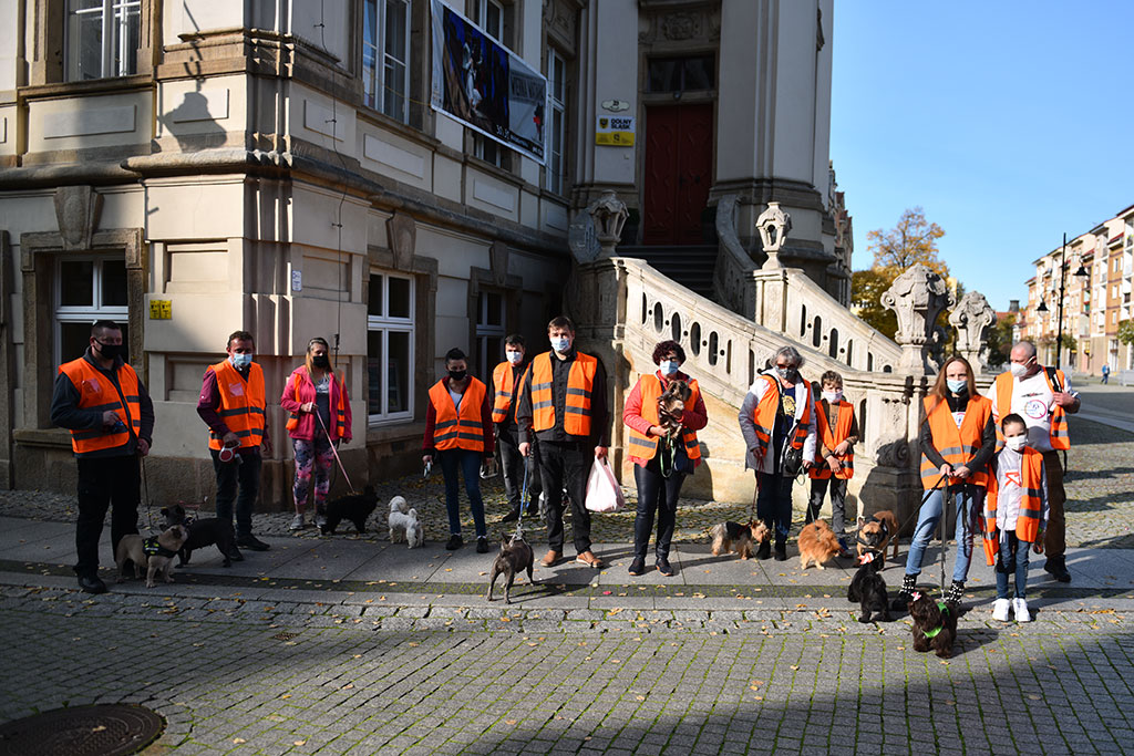 Hodowcy psów protestowali przeciwko Piątce dla zwierząt