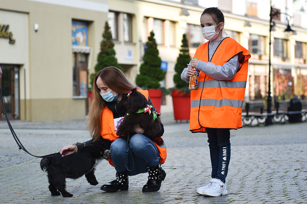 Hodowcy psów protestowali przeciwko Piątce dla zwierząt