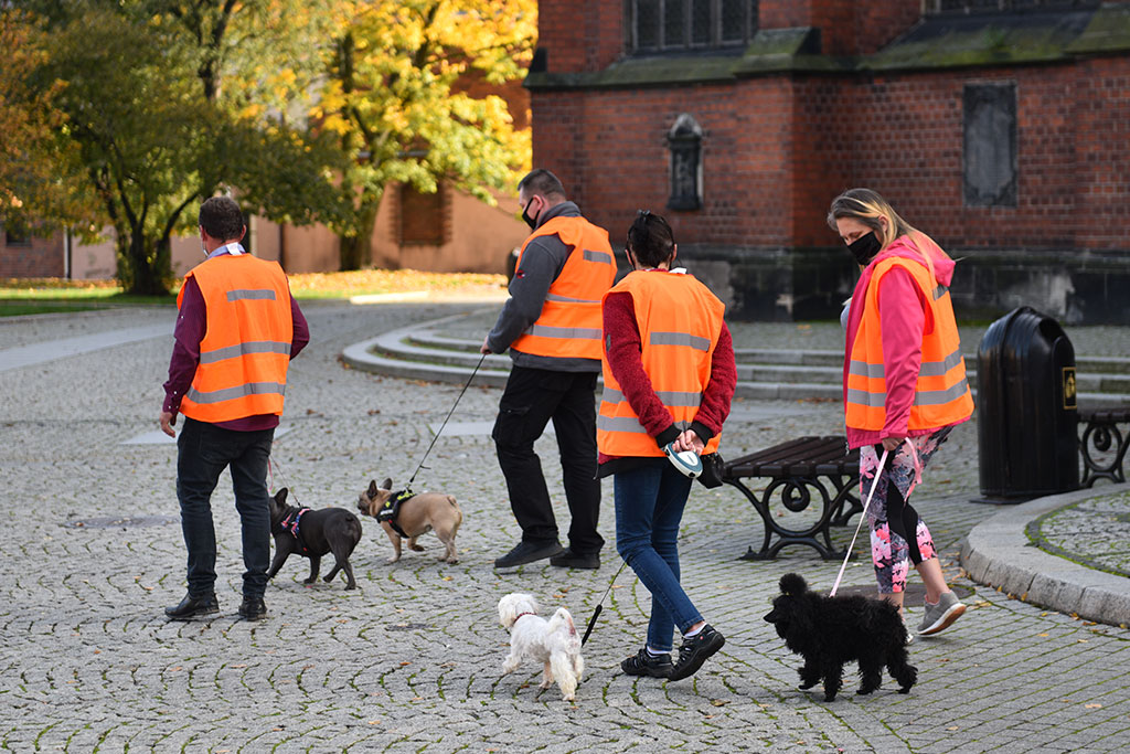 Hodowcy psów protestowali przeciwko Piątce dla zwierząt