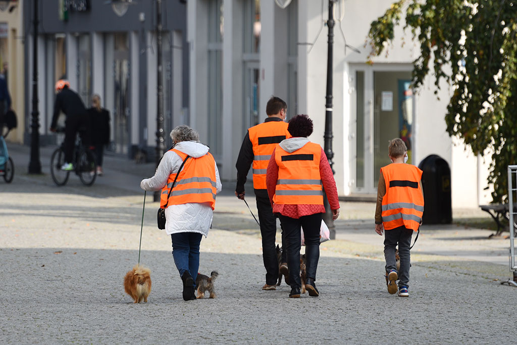 Hodowcy psów protestowali przeciwko Piątce dla zwierząt
