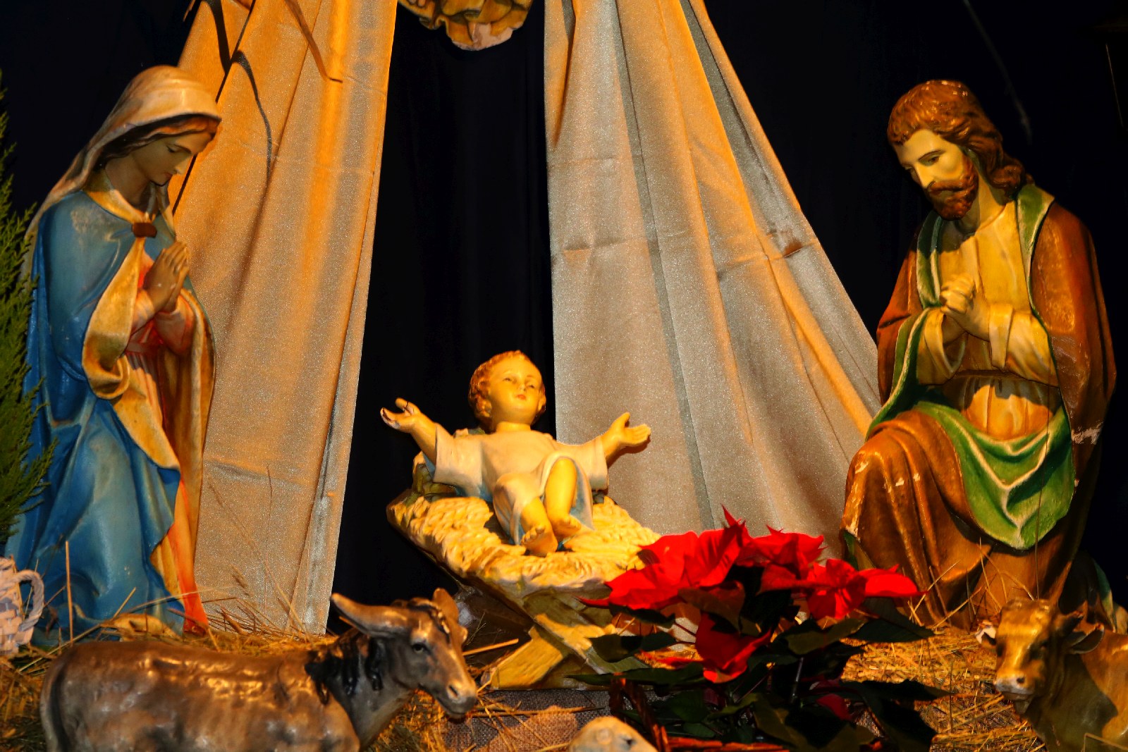 Piękne szopki bożonarodzeniowe w legnickich kościołach