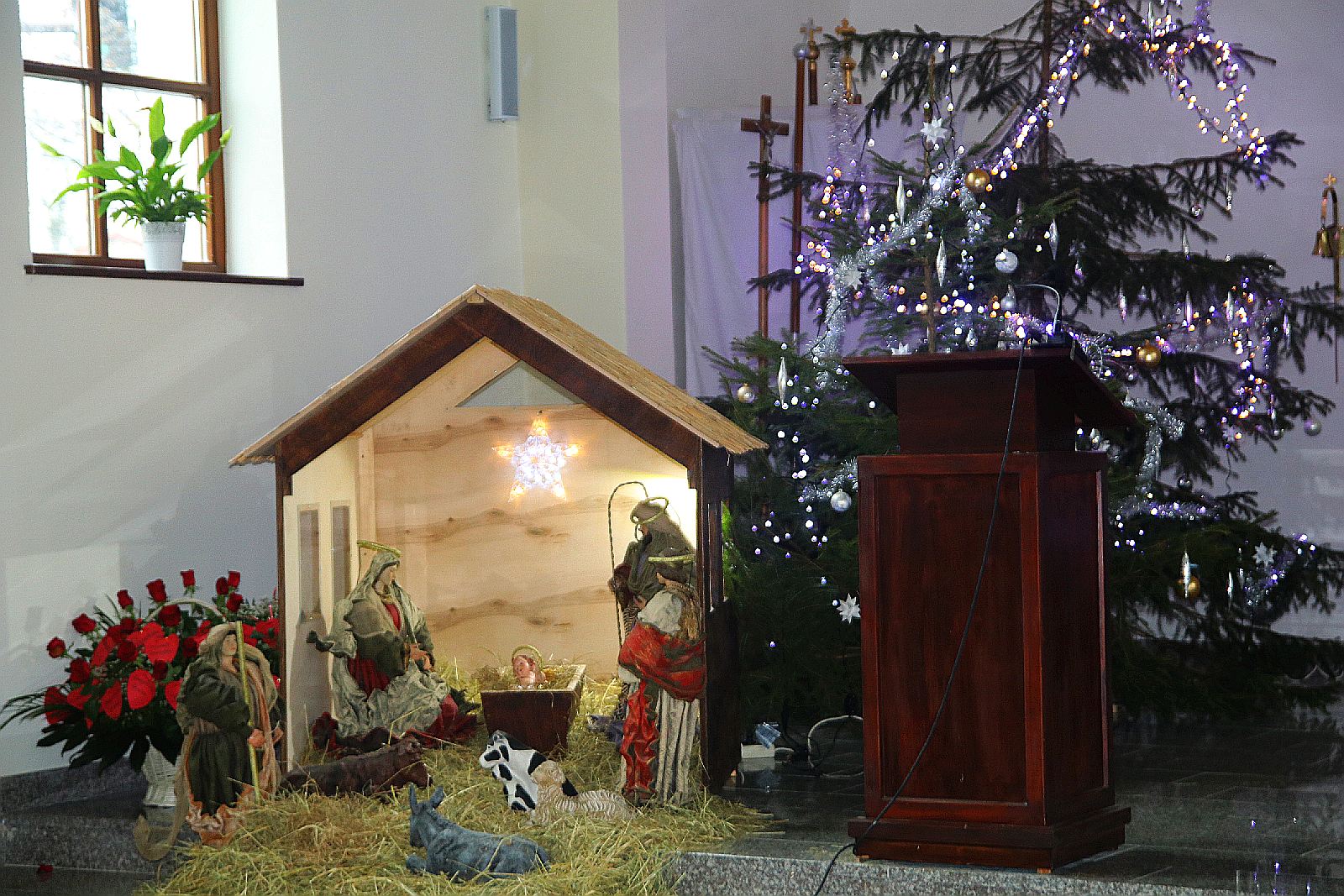 Piękne szopki bożonarodzeniowe w legnickich kościołach