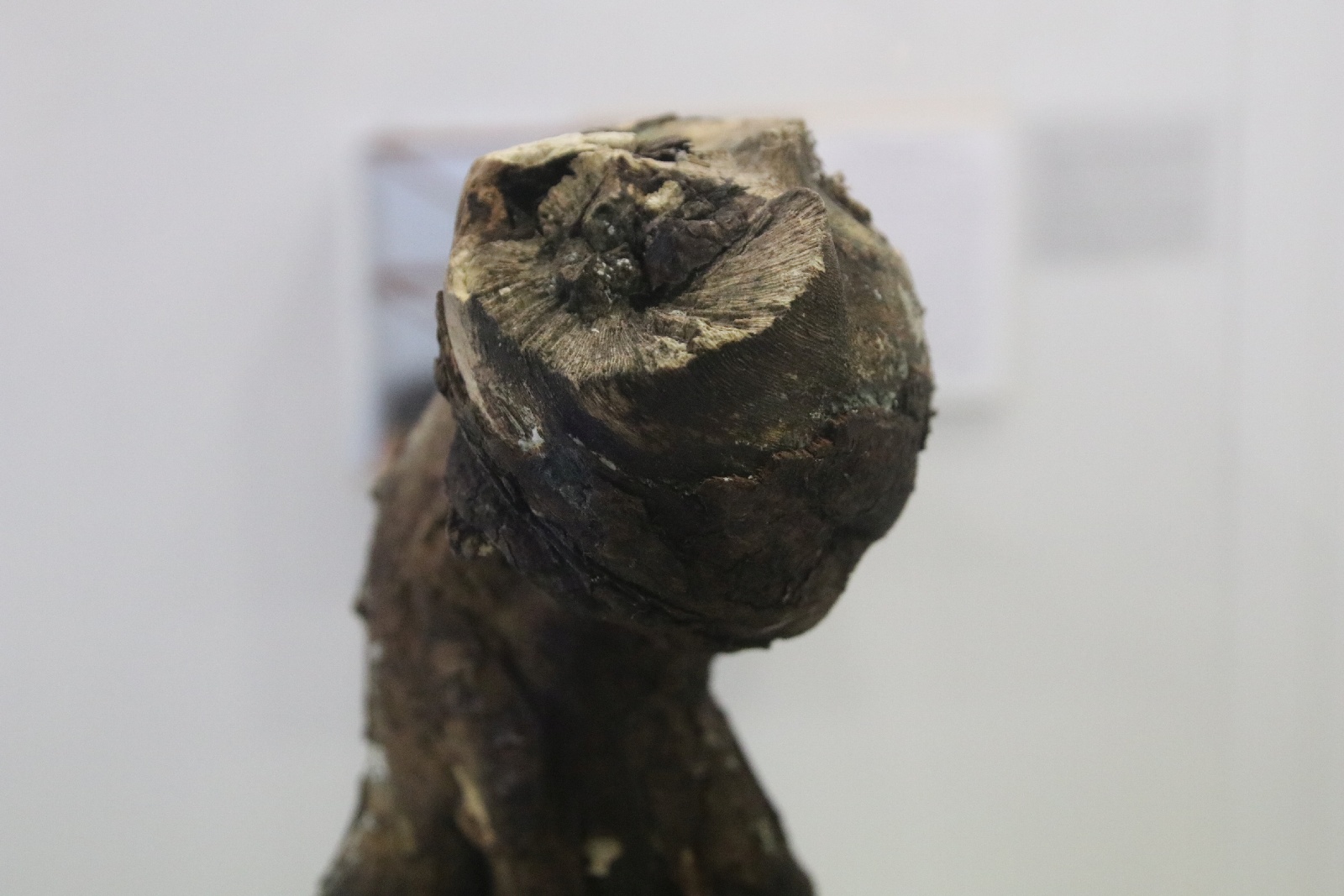 Alternatywna historia sztuki według Jerzego Kosałki
