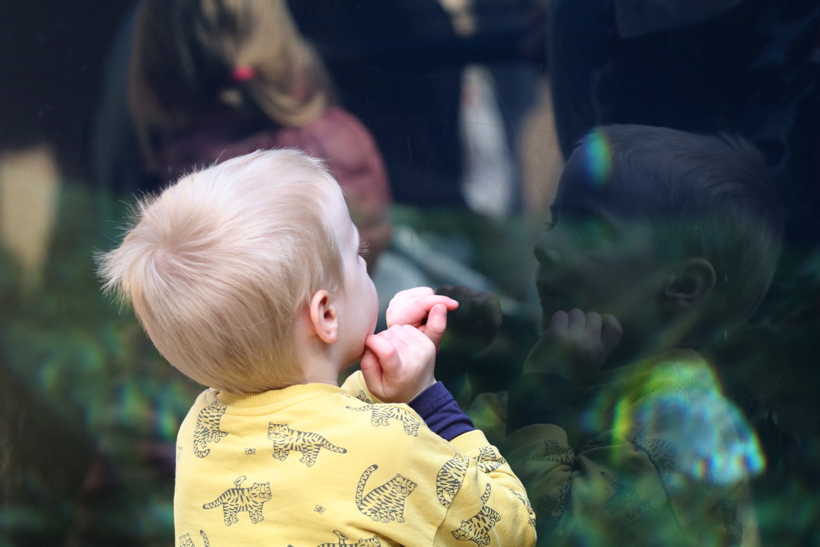 Wrocławskie ZOO jest piękne o każdej porze roku