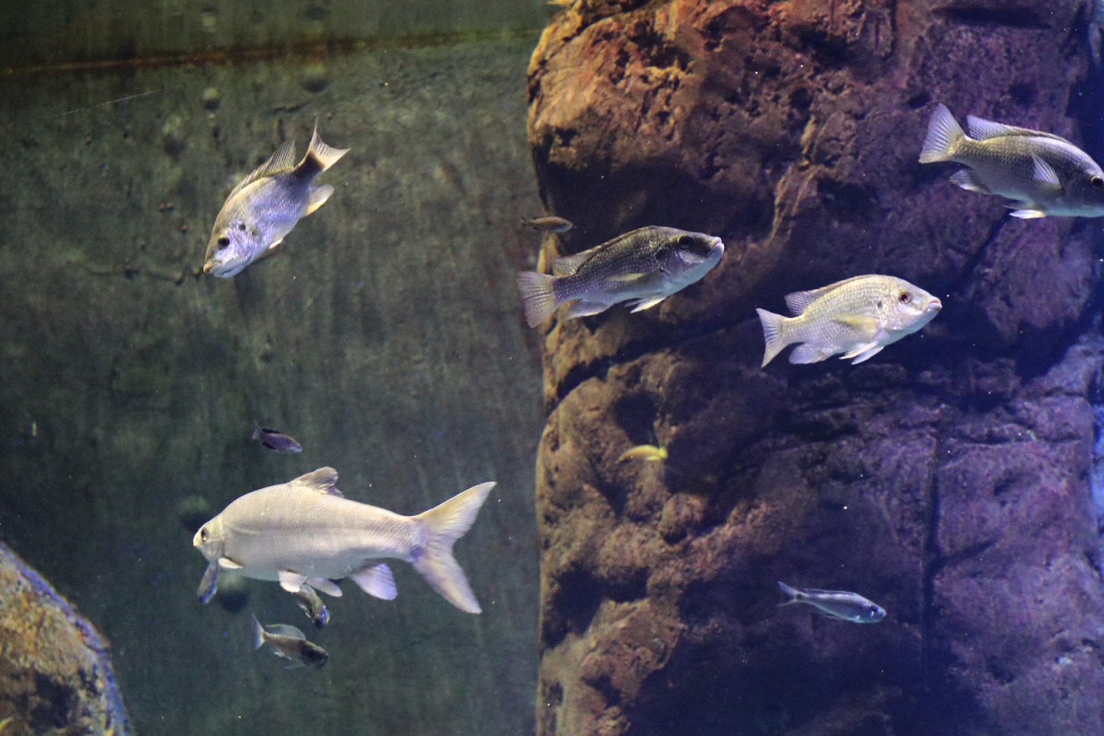 Wrocławskie ZOO jest piękne o każdej porze roku