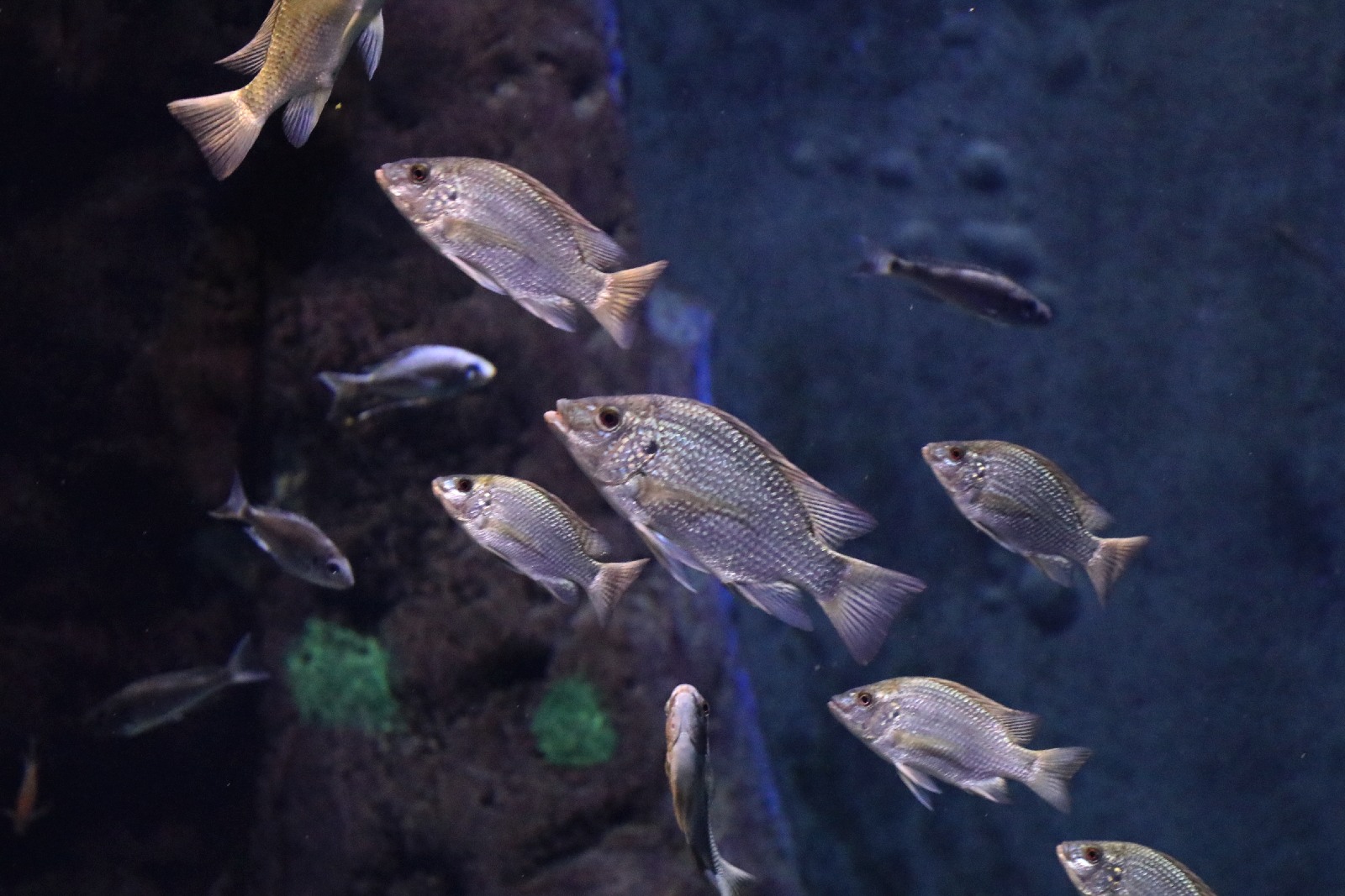 Wrocławskie ZOO jest piękne o każdej porze roku