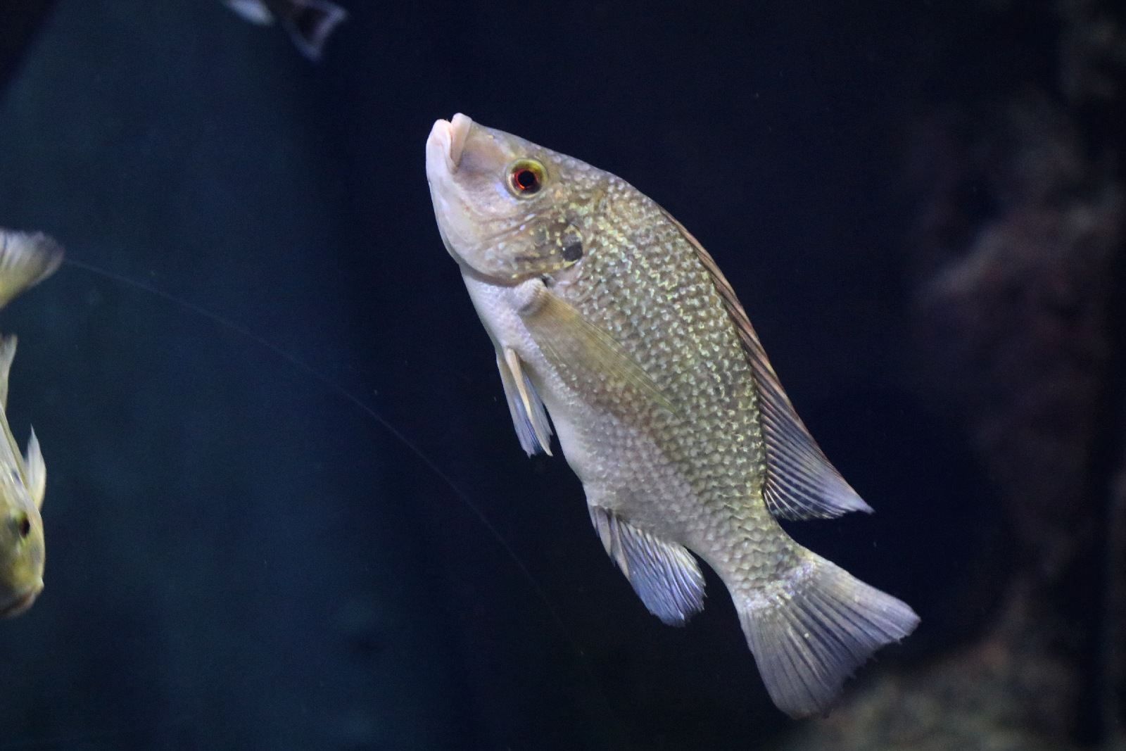 Wrocławskie ZOO jest piękne o każdej porze roku