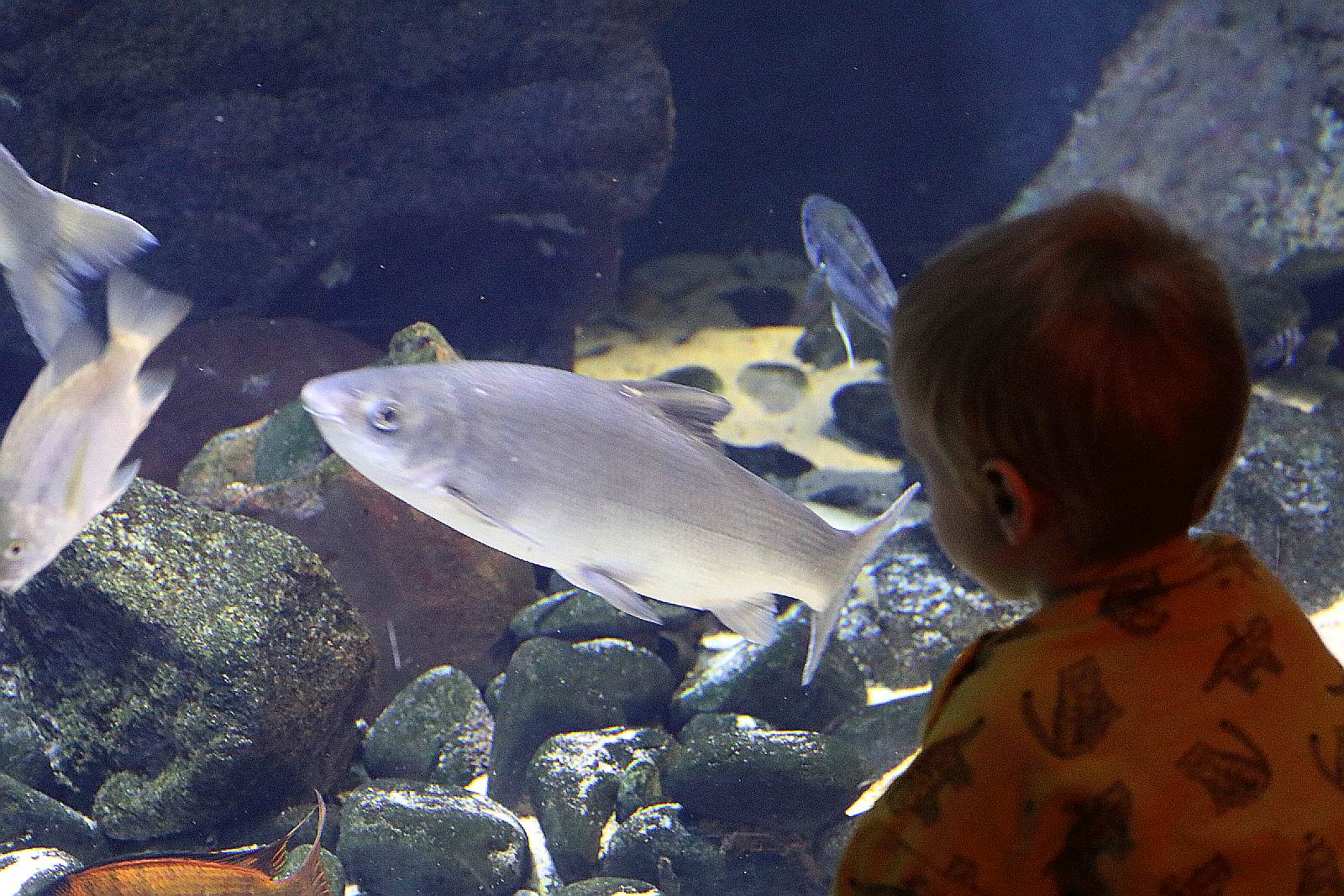Wrocławskie ZOO jest piękne o każdej porze roku