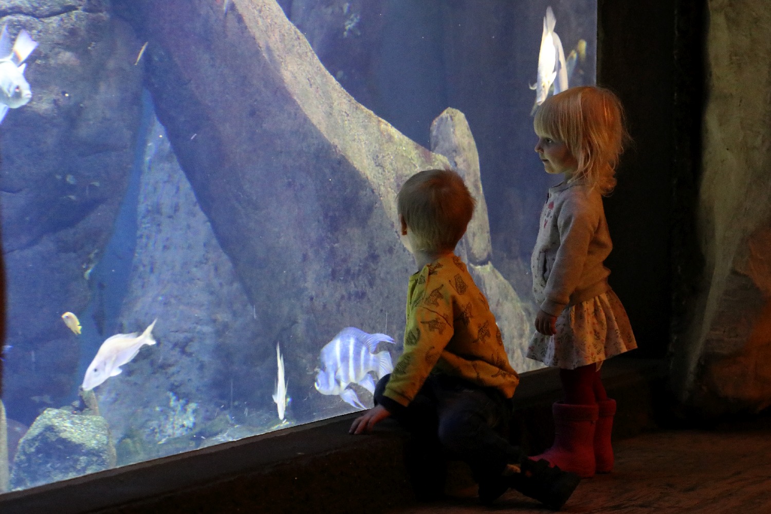 Wrocławskie ZOO jest piękne o każdej porze roku