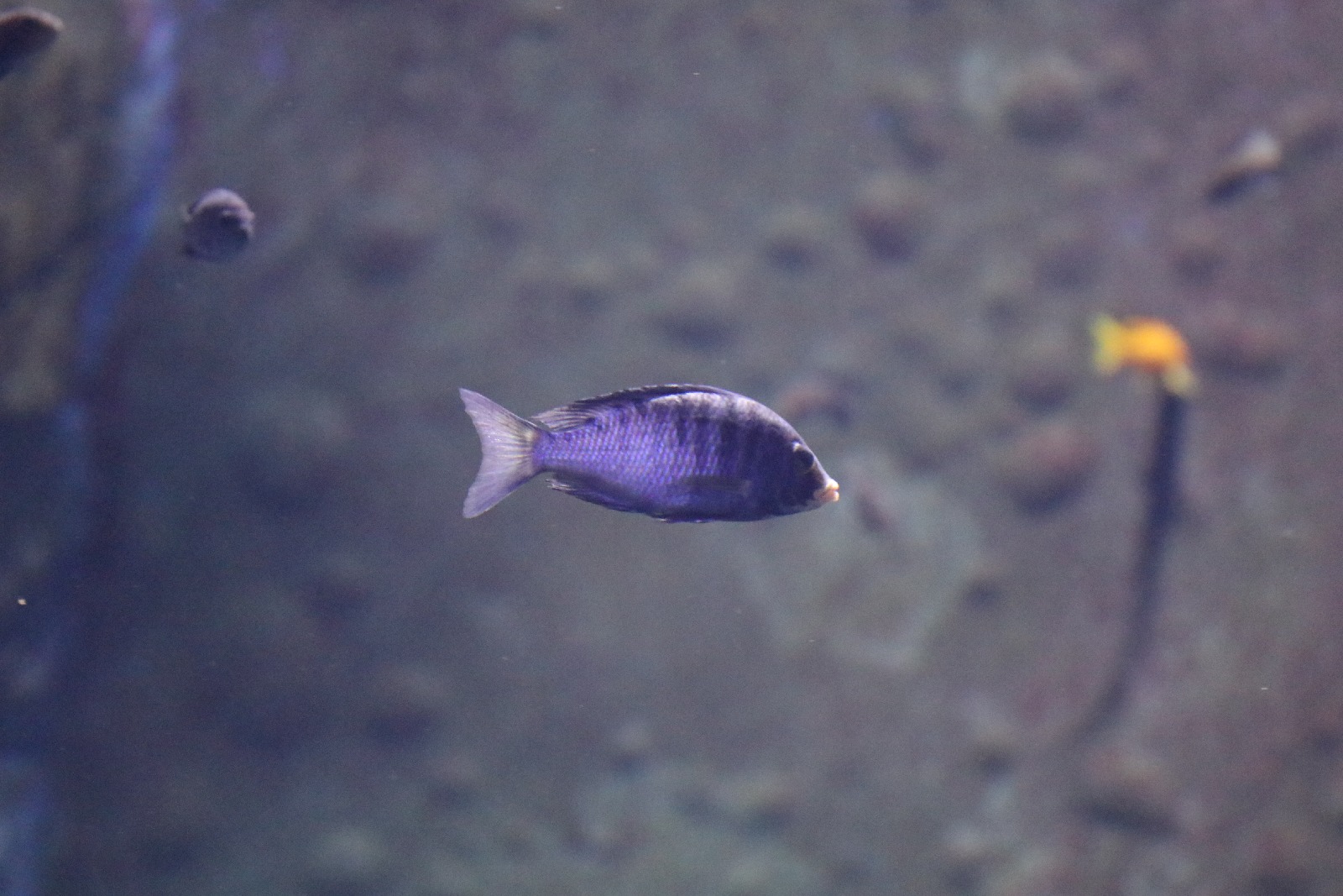 Wrocławskie ZOO jest piękne o każdej porze roku