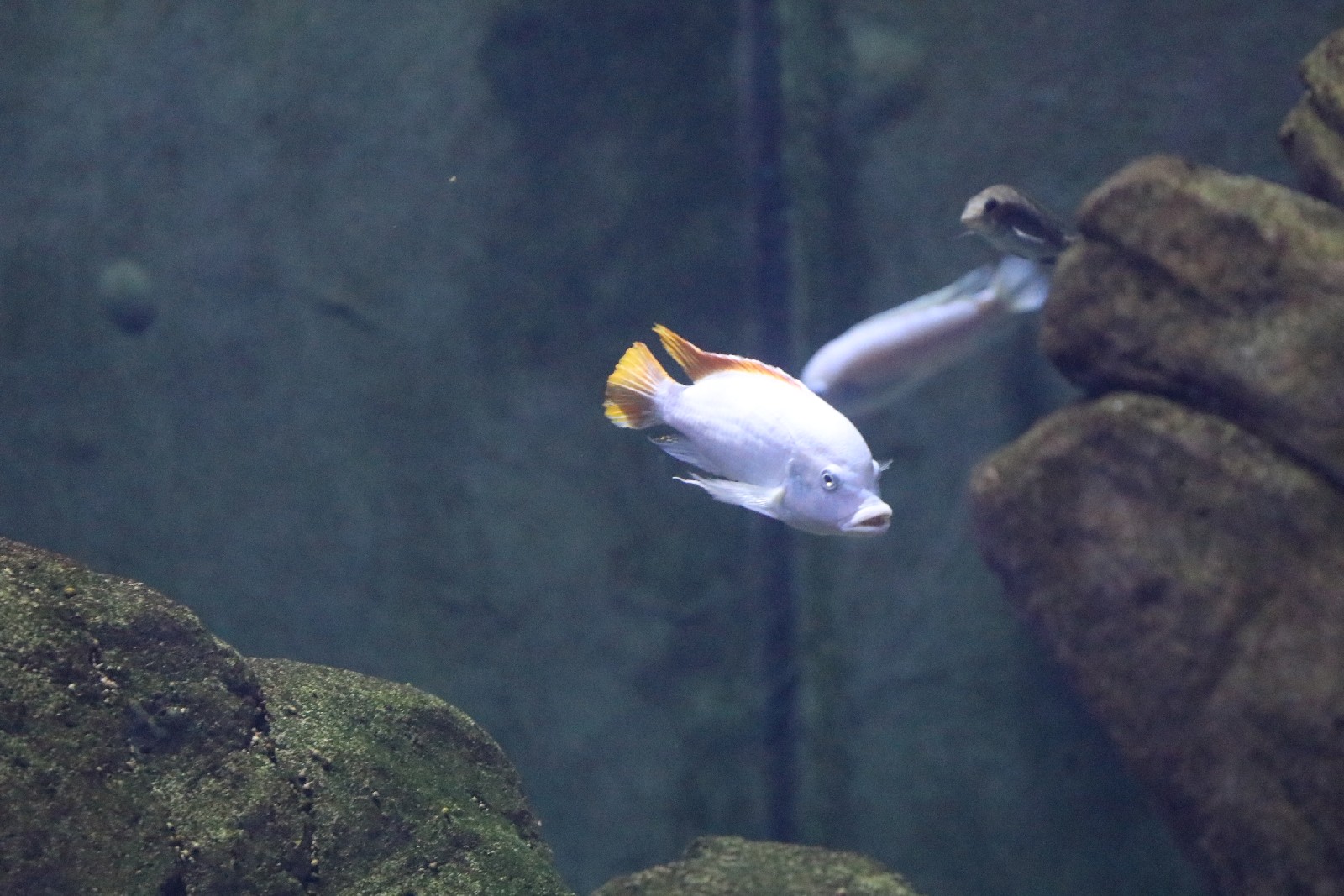 Wrocławskie ZOO jest piękne o każdej porze roku