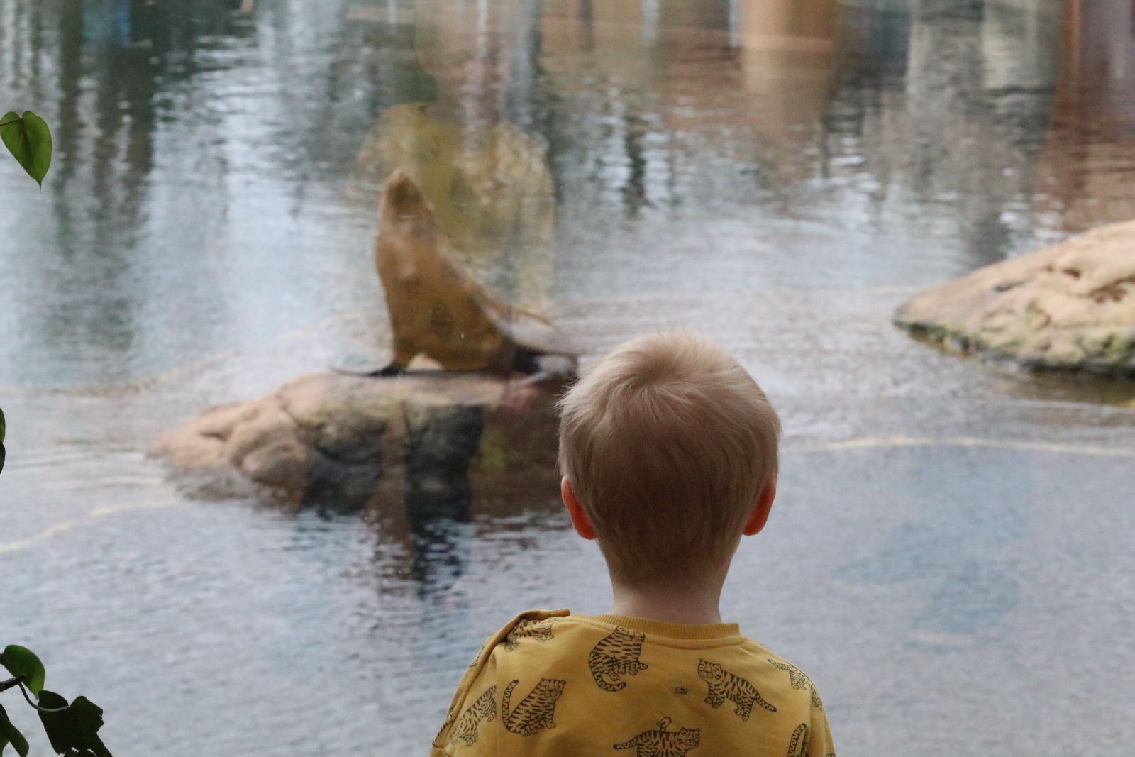 Wrocławskie ZOO jest piękne o każdej porze roku