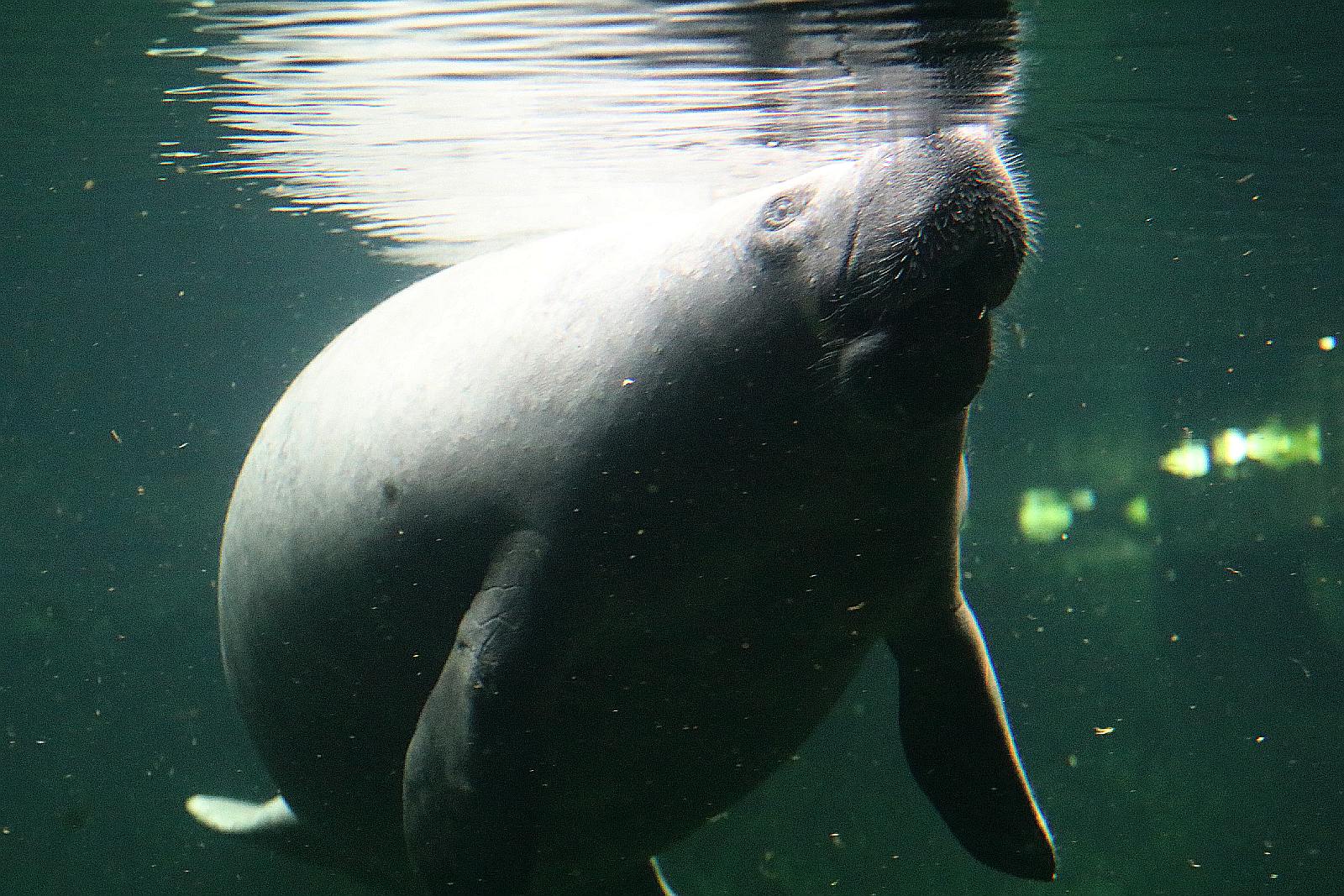 Wrocławskie ZOO jest piękne o każdej porze roku