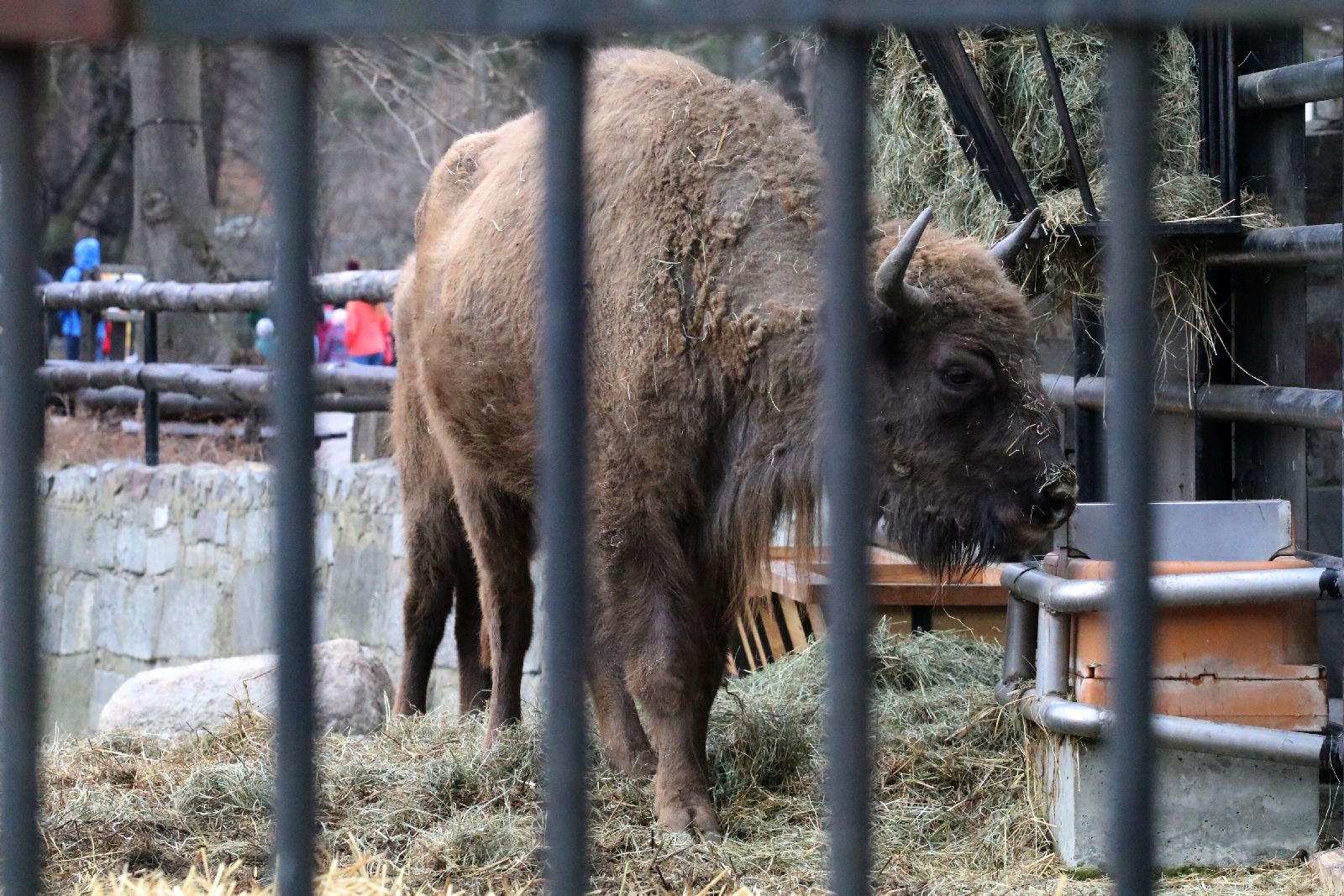 Wrocławskie ZOO jest piękne o każdej porze roku