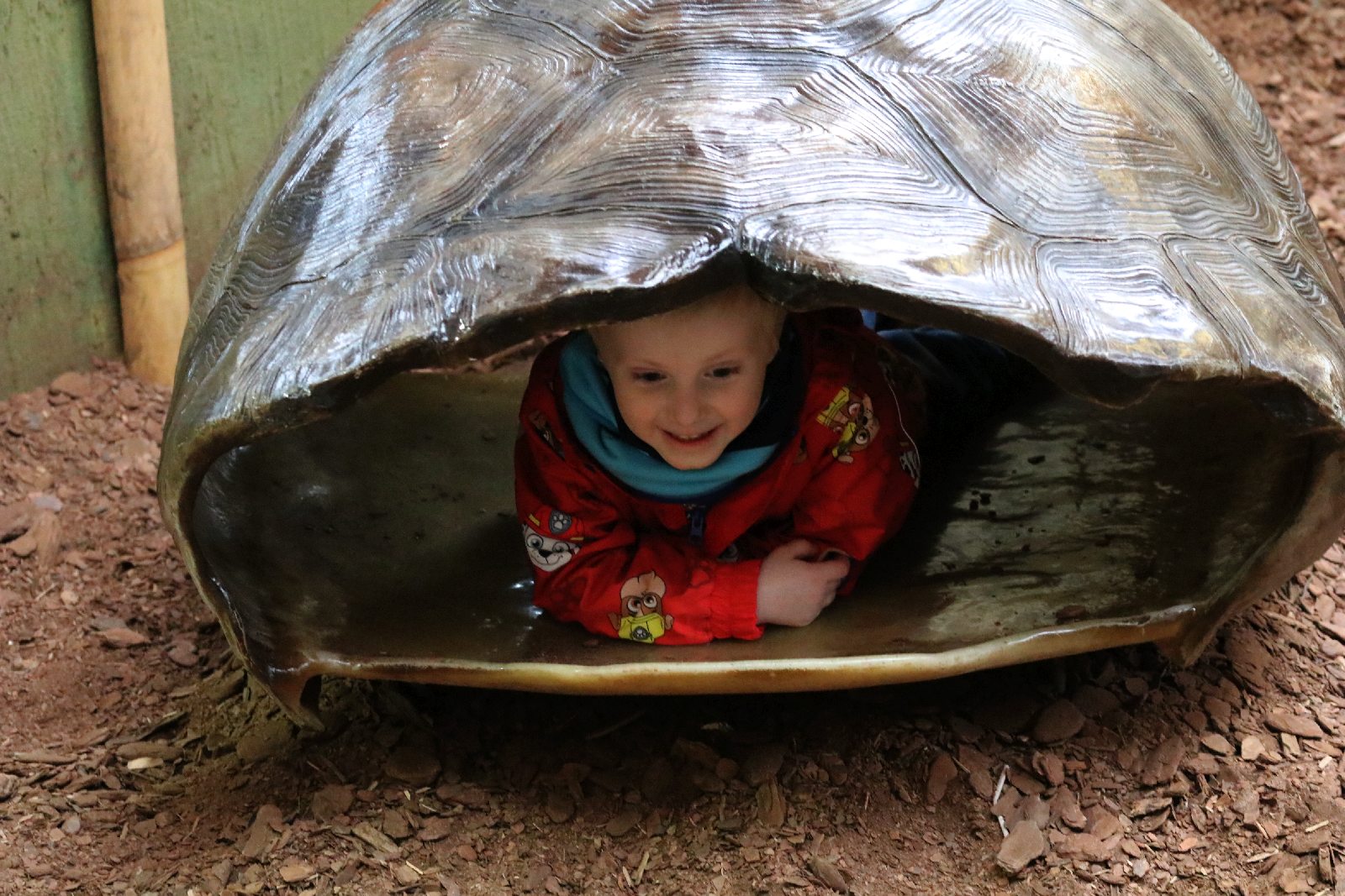 Wrocławskie ZOO jest piękne o każdej porze roku
