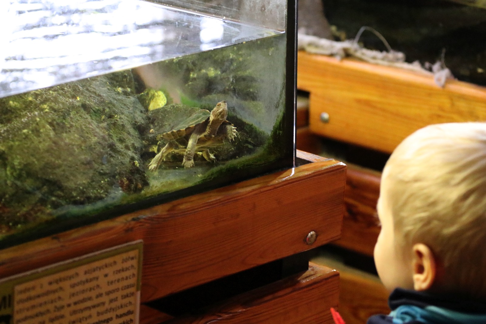 Wrocławskie ZOO jest piękne o każdej porze roku