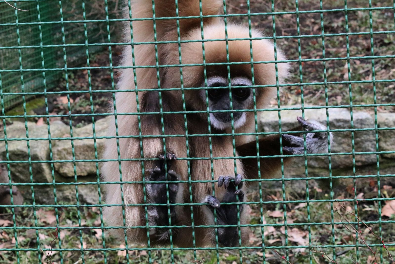 Wrocławskie ZOO jest piękne o każdej porze roku