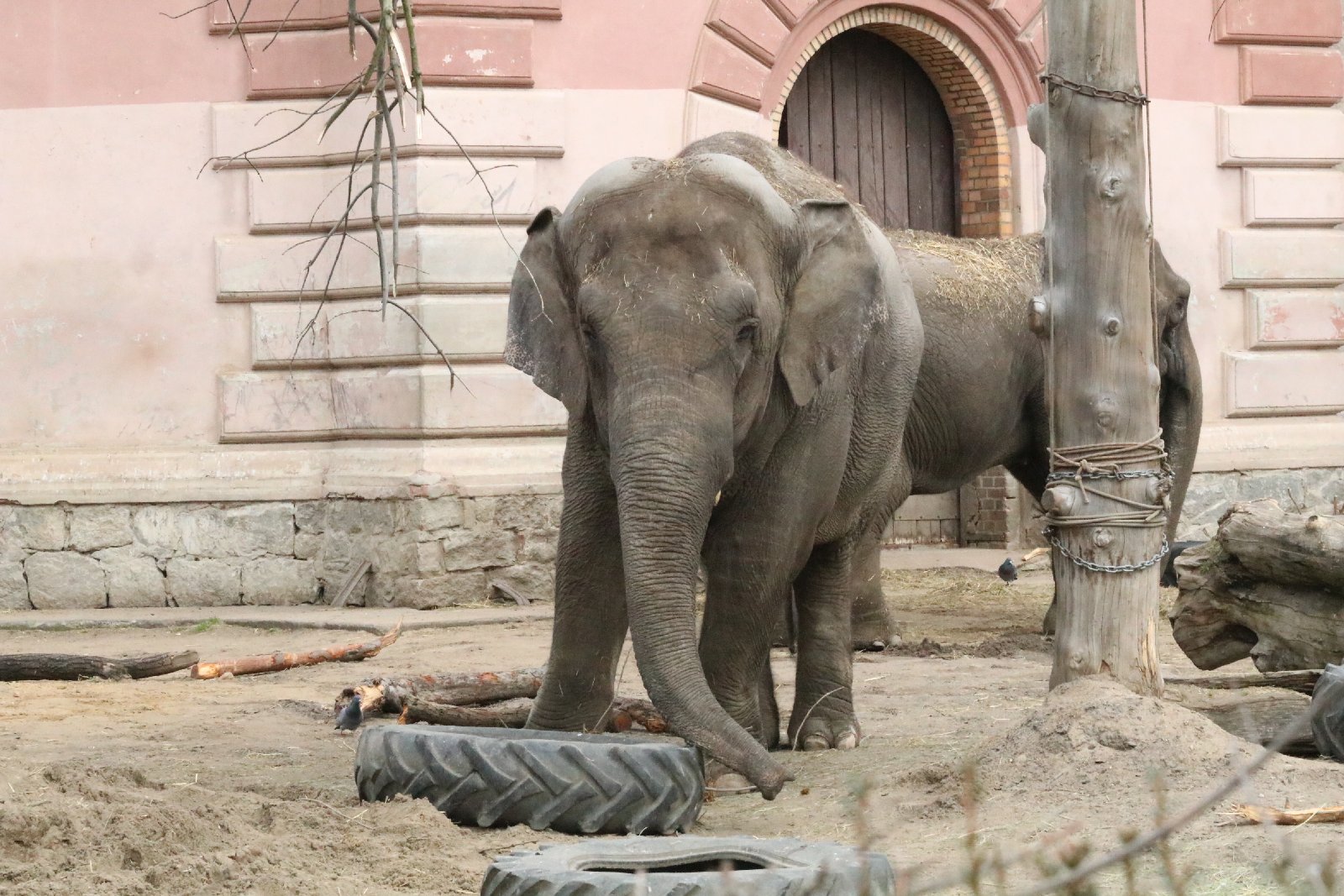 Wrocławskie ZOO jest piękne o każdej porze roku