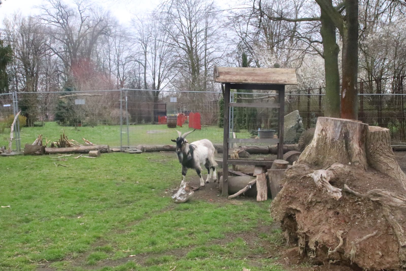 Z wizytą w mini zoo i na budowie palmiarni