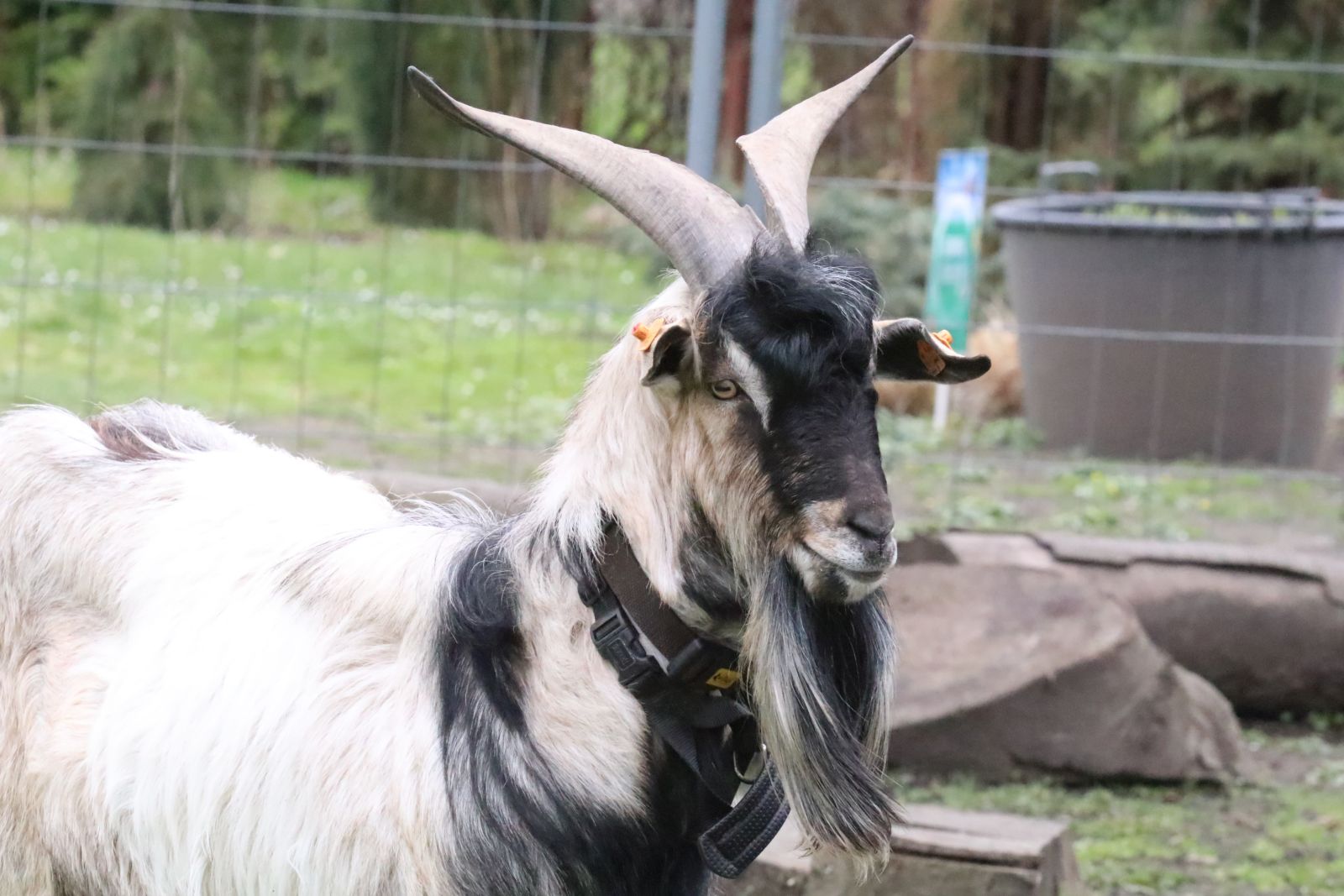 Z wizytą w mini zoo i na budowie palmiarni