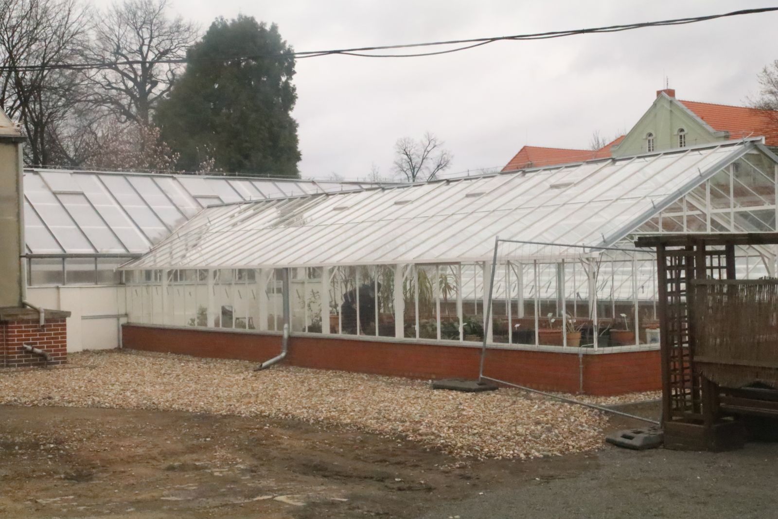 Z wizytą w mini zoo i na budowie palmiarni