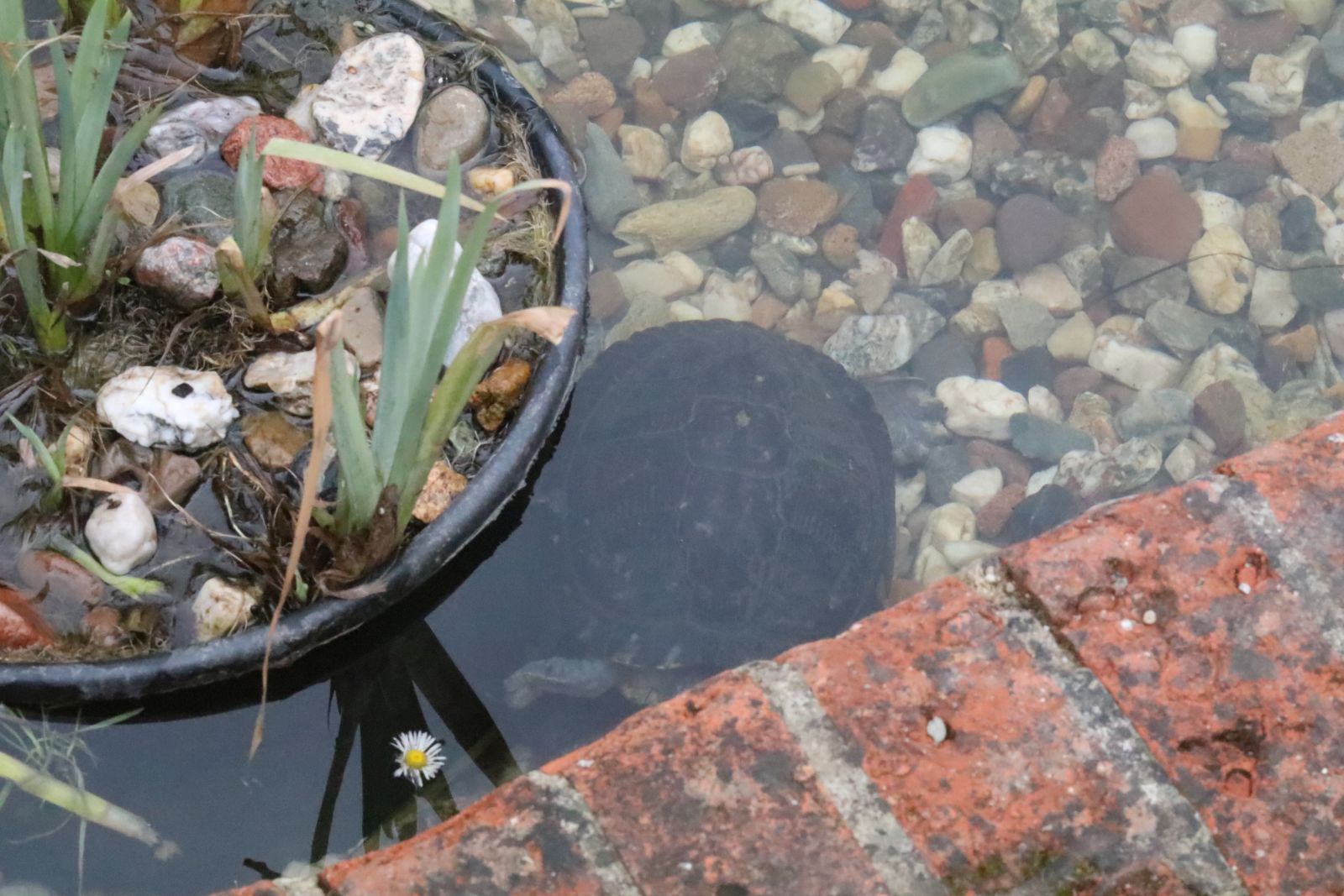 Z wizytą w mini zoo i na budowie palmiarni
