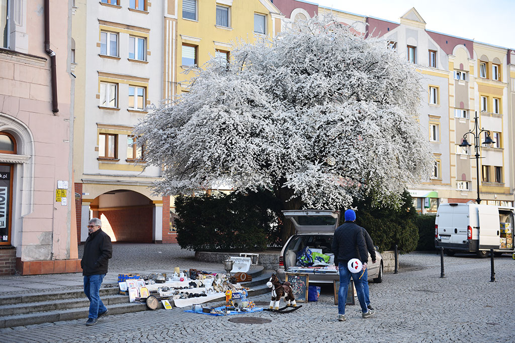 Jarmark staroci odbył się już po raz trzeci w tym roku