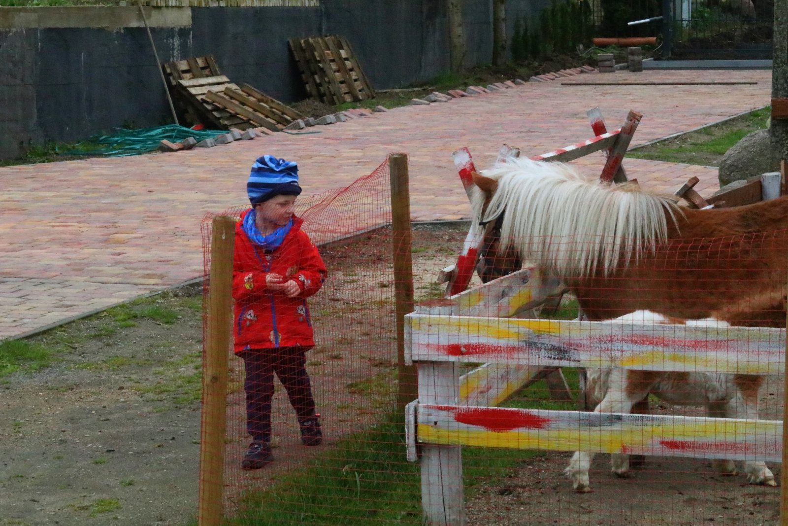 Mini ZOO w Piotrówku otwarte dla zwiedzających