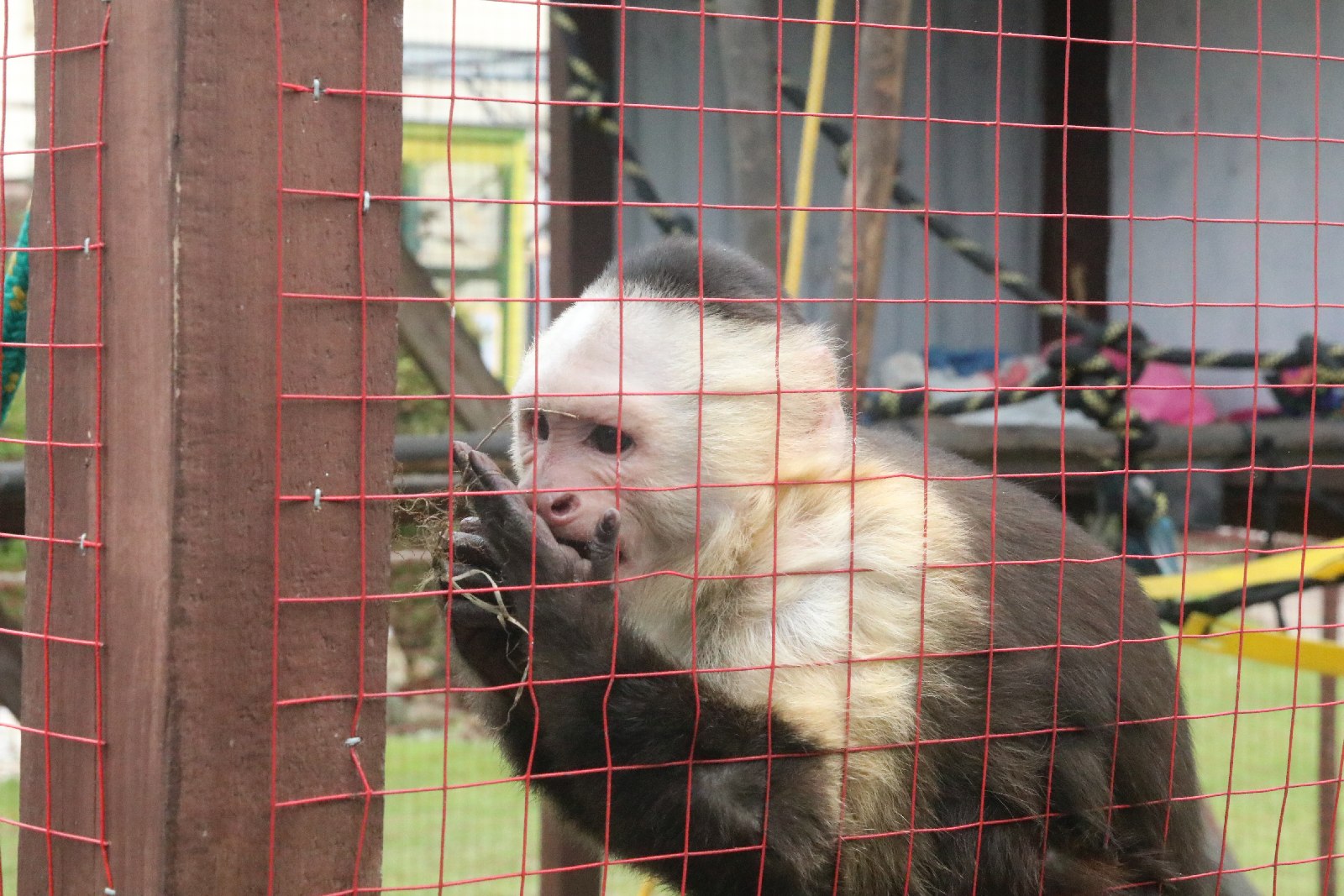 Mini ZOO w Piotrówku otwarte dla zwiedzających