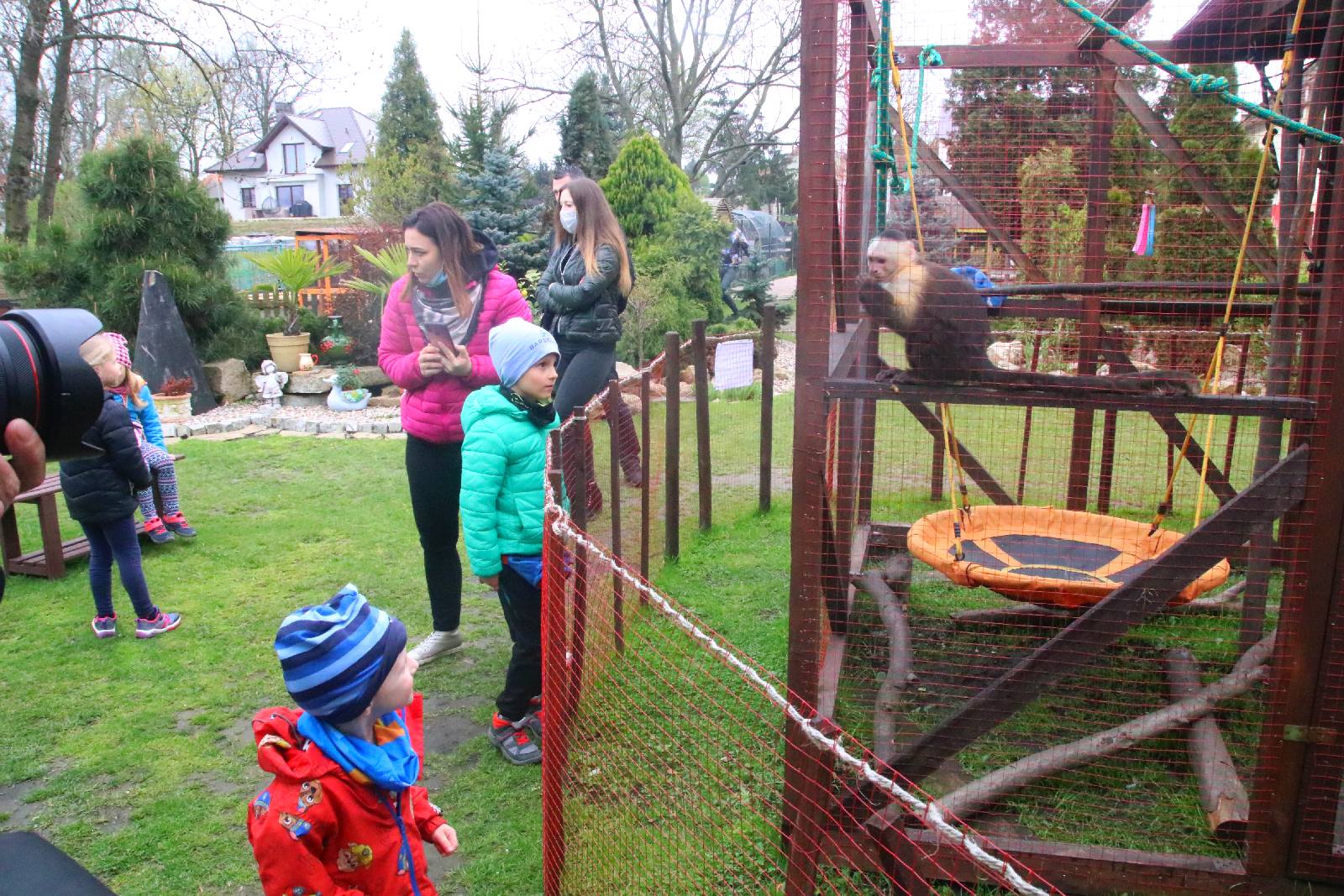 Mini ZOO w Piotrówku otwarte dla zwiedzających