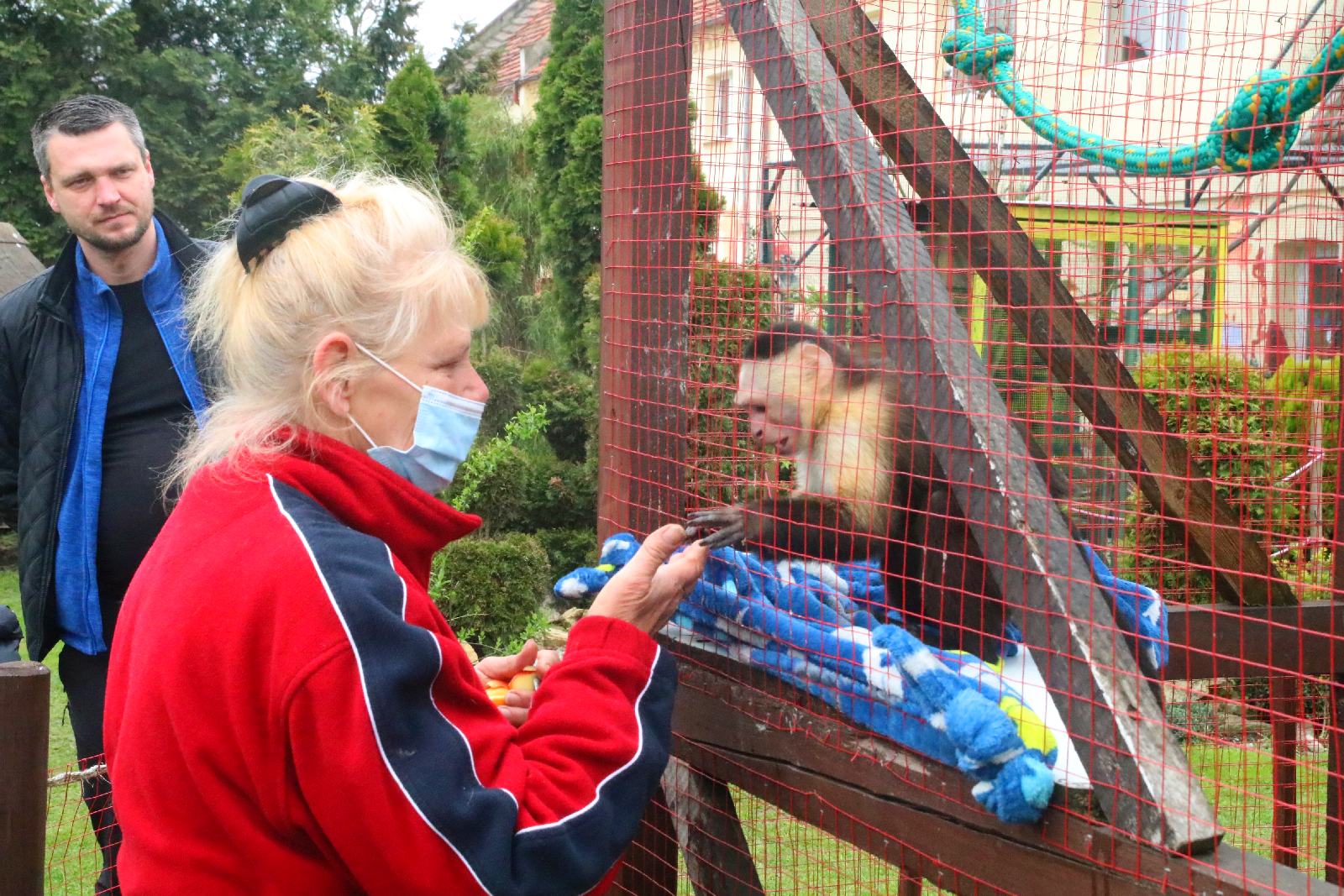 Mini ZOO w Piotrówku otwarte dla zwiedzających