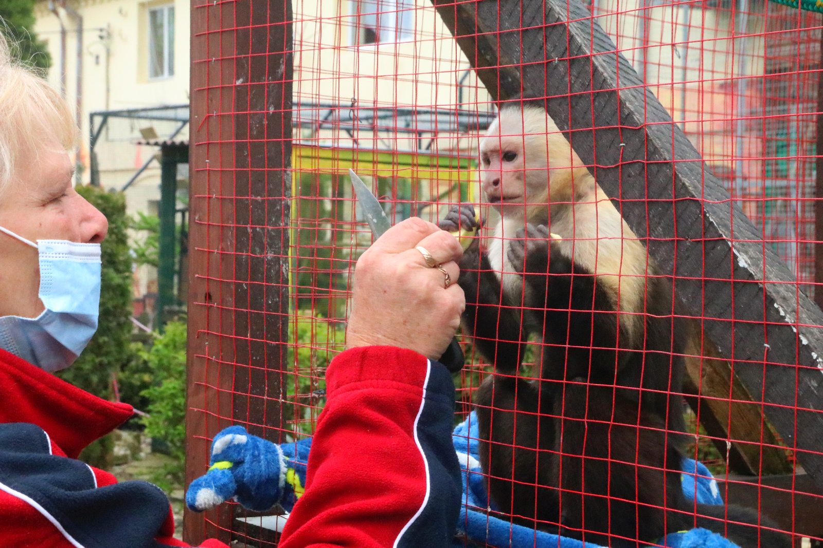 Mini ZOO w Piotrówku otwarte dla zwiedzających