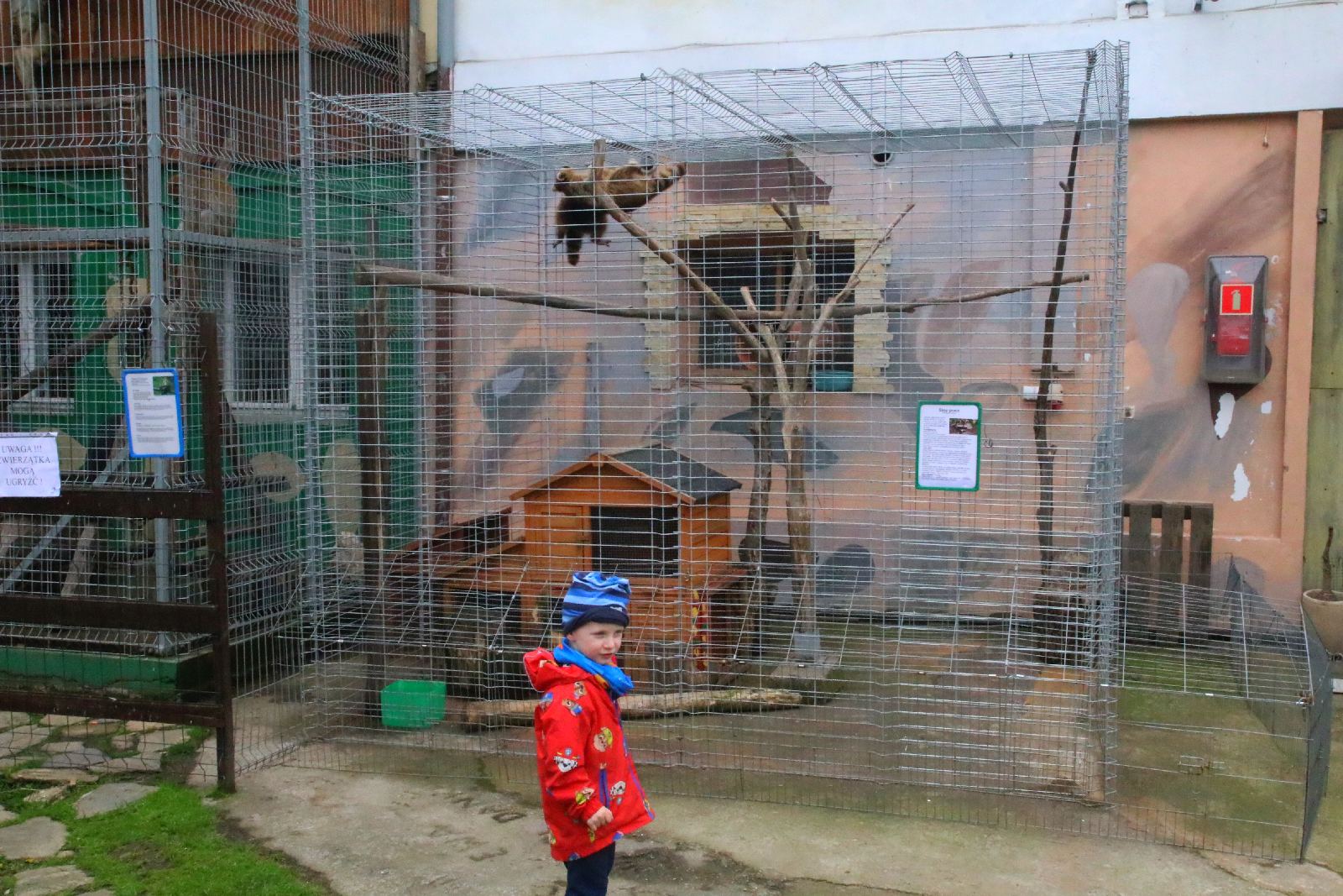Mini ZOO w Piotrówku otwarte dla zwiedzających