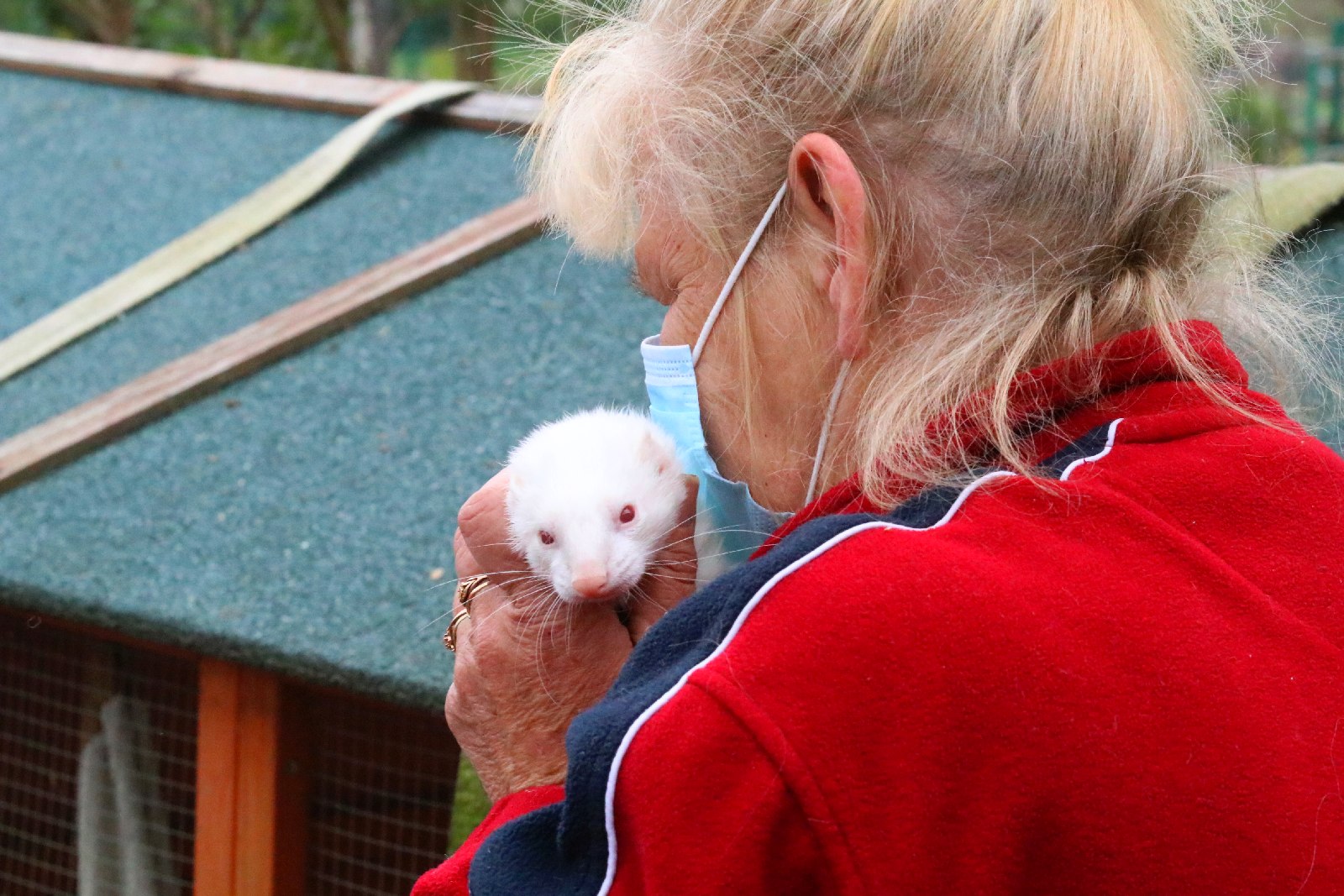 Mini ZOO w Piotrówku otwarte dla zwiedzających