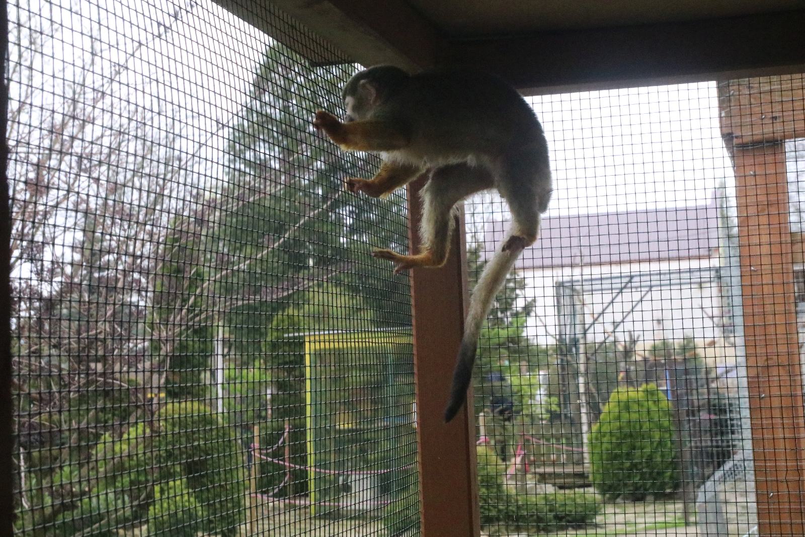 Mini ZOO w Piotrówku otwarte dla zwiedzających