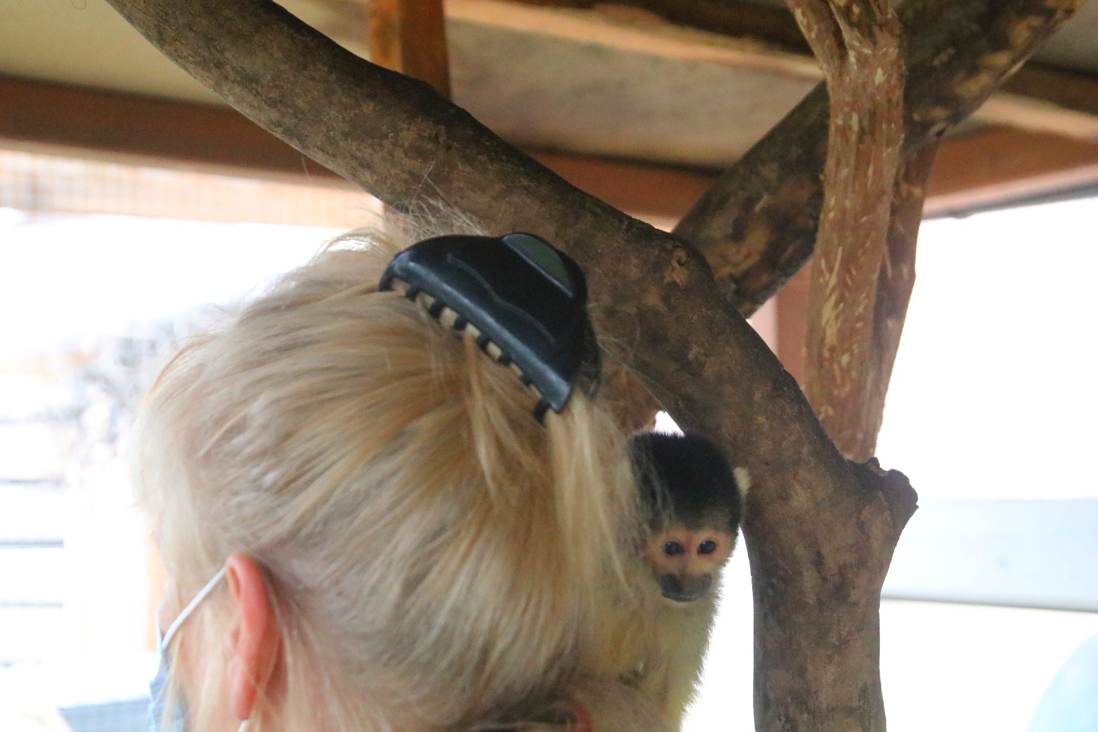 Mini ZOO w Piotrówku otwarte dla zwiedzających