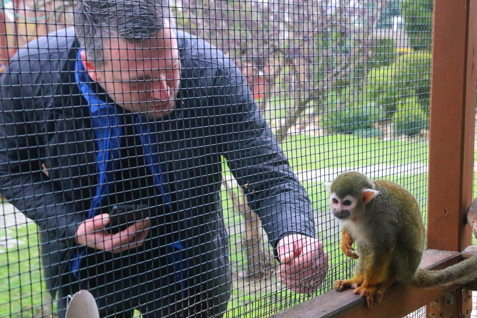 Mini ZOO w Piotrówku otwarte dla zwiedzających