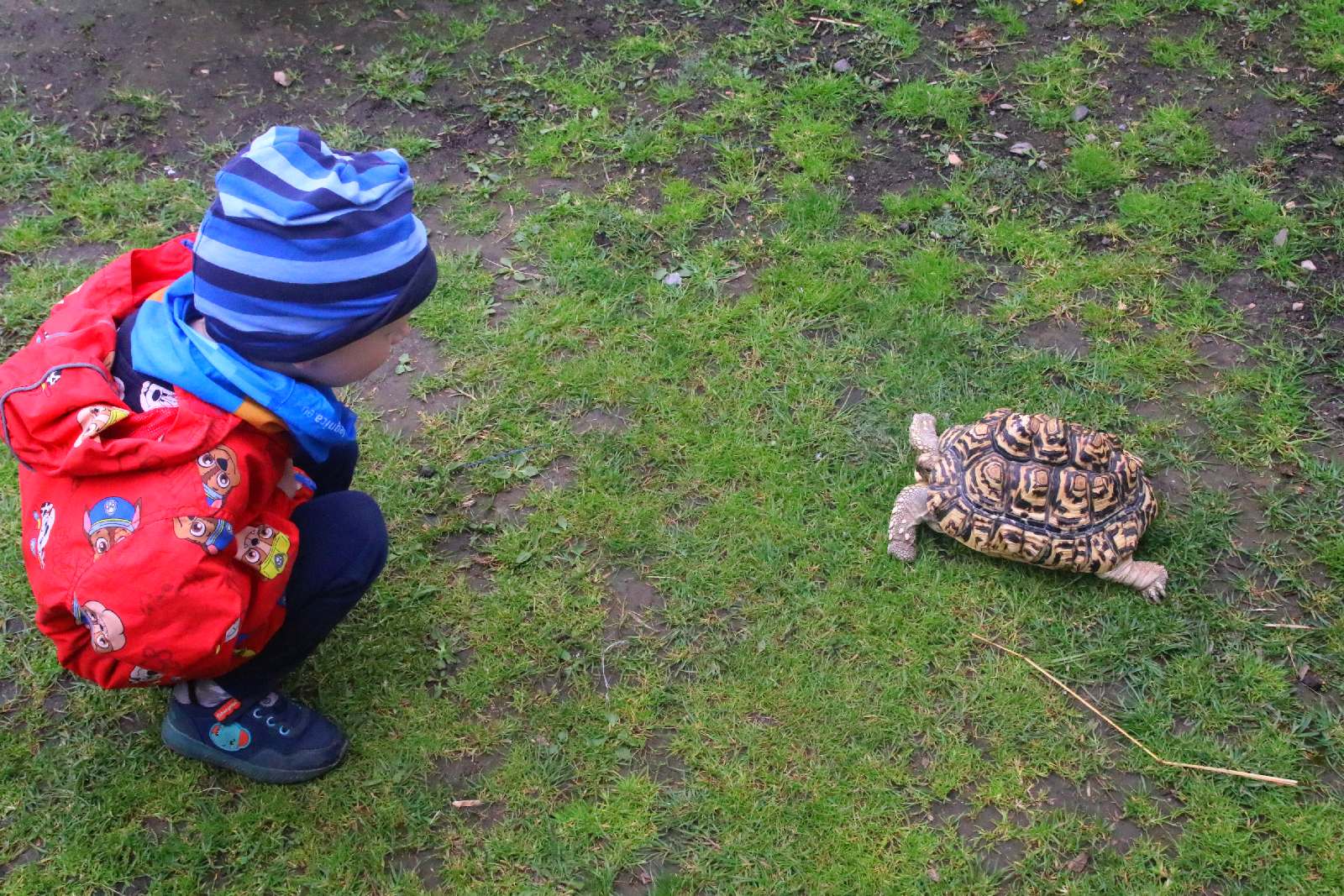 Mini ZOO w Piotrówku otwarte dla zwiedzających