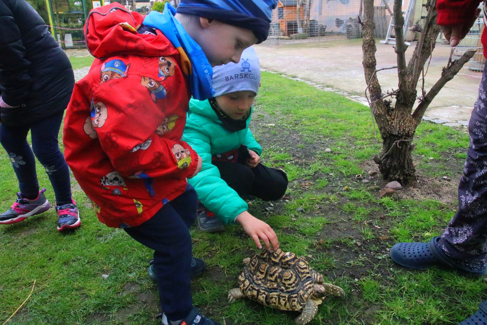 Mini ZOO w Piotrówku otwarte dla zwiedzających