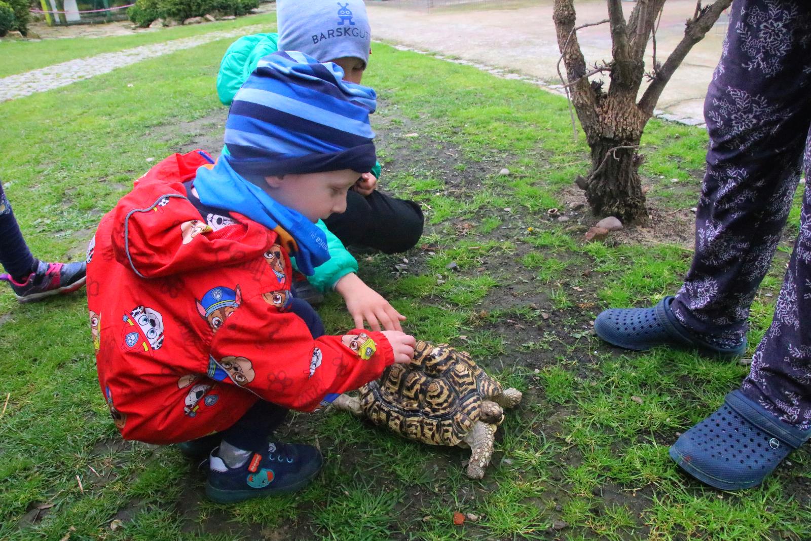 Mini ZOO w Piotrówku otwarte dla zwiedzających
