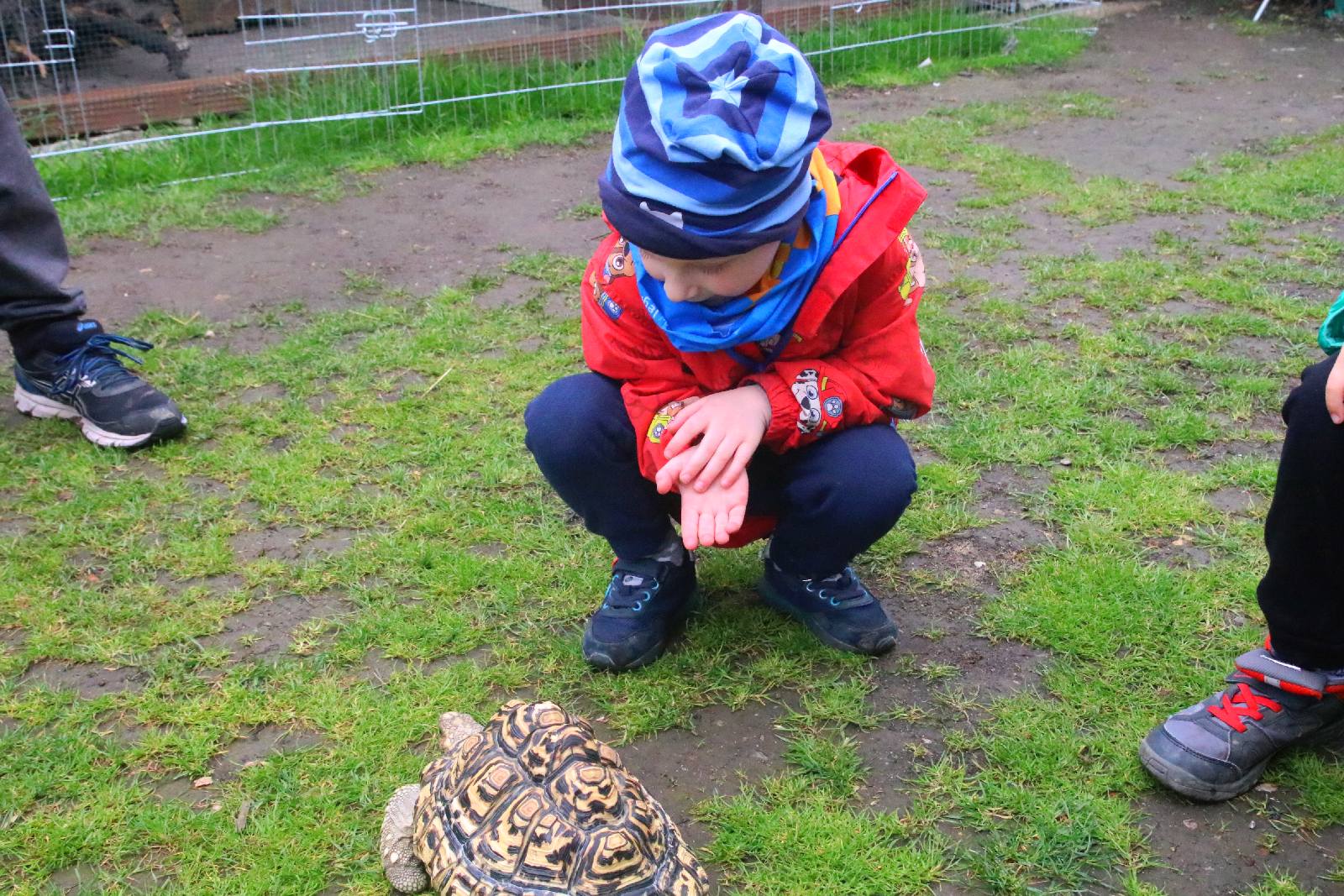 Mini ZOO w Piotrówku otwarte dla zwiedzających