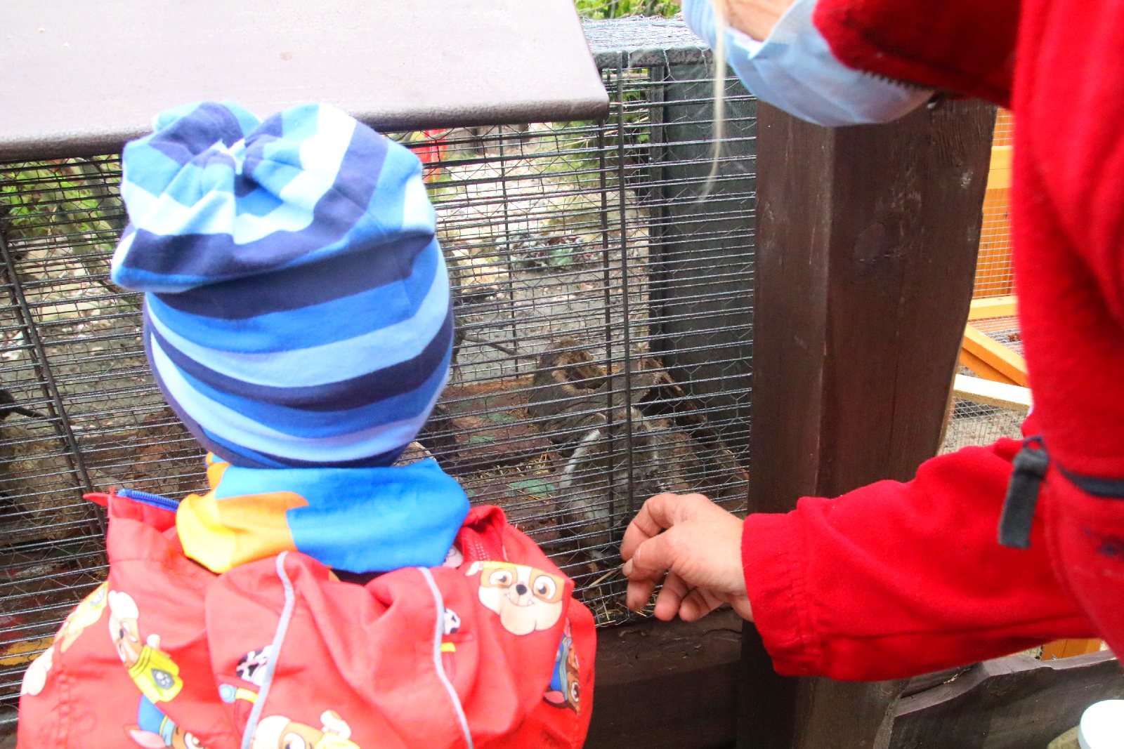 Mini ZOO w Piotrówku otwarte dla zwiedzających