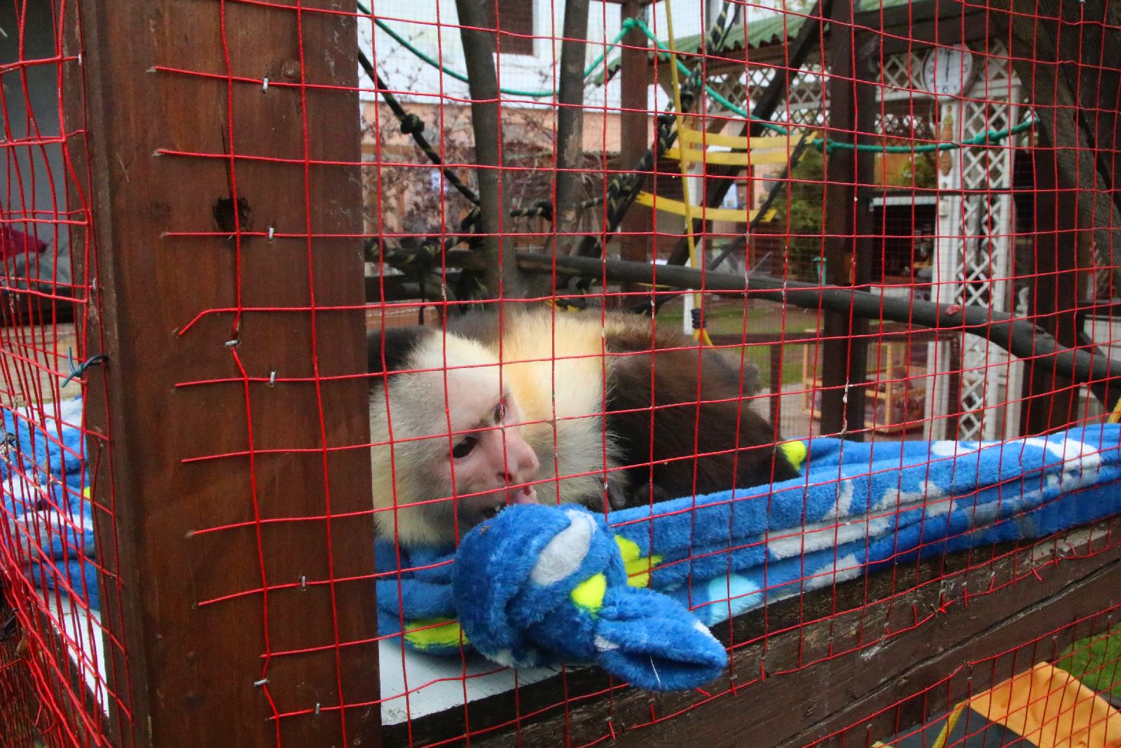 Mini ZOO w Piotrówku otwarte dla zwiedzających
