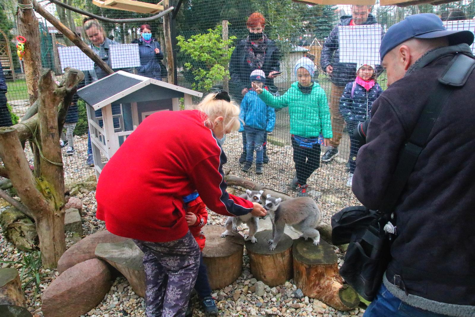 Mini ZOO w Piotrówku otwarte dla zwiedzających