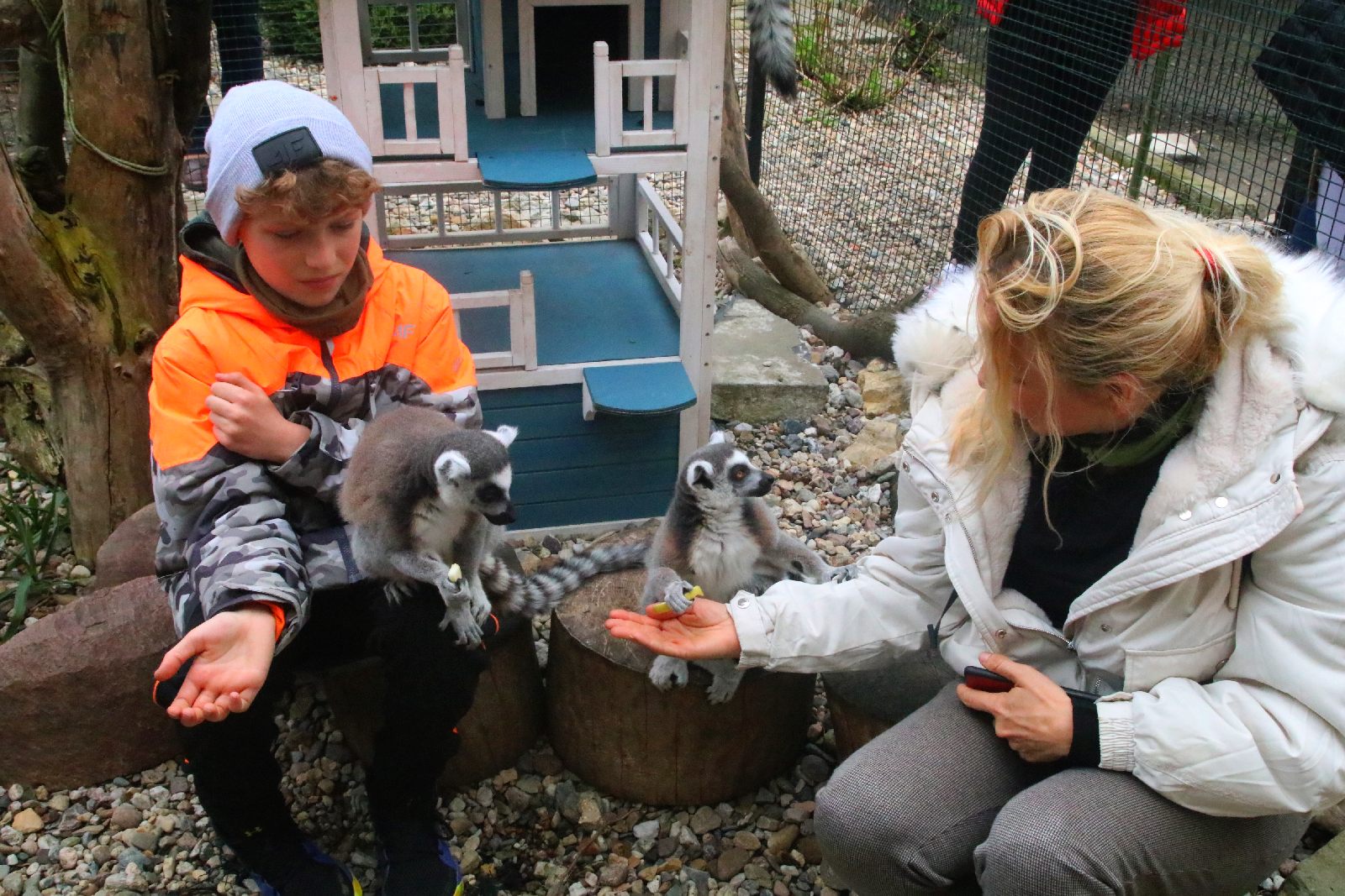 Mini ZOO w Piotrówku otwarte dla zwiedzających