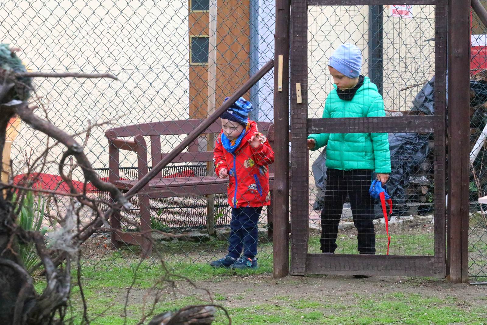 Mini ZOO w Piotrówku otwarte dla zwiedzających